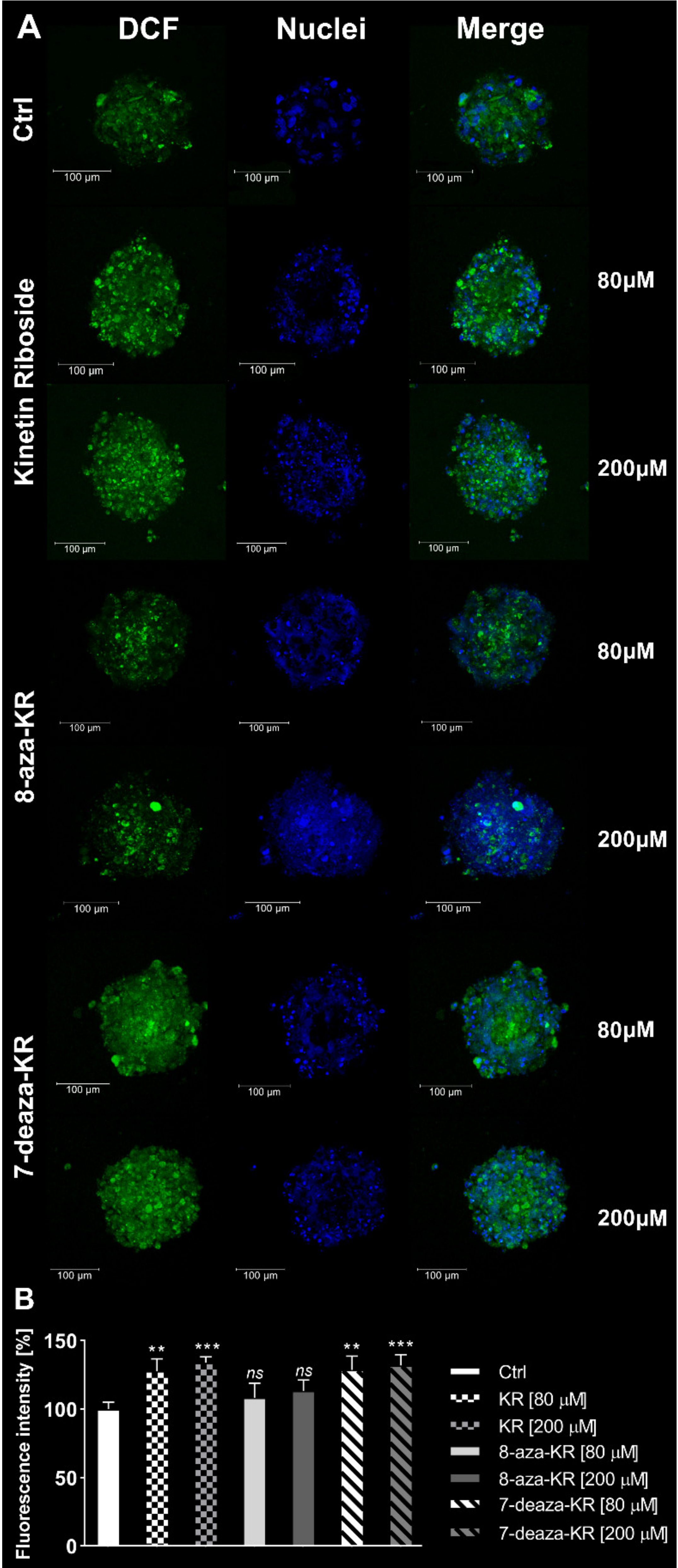 Antioxidants 10 00950 g004