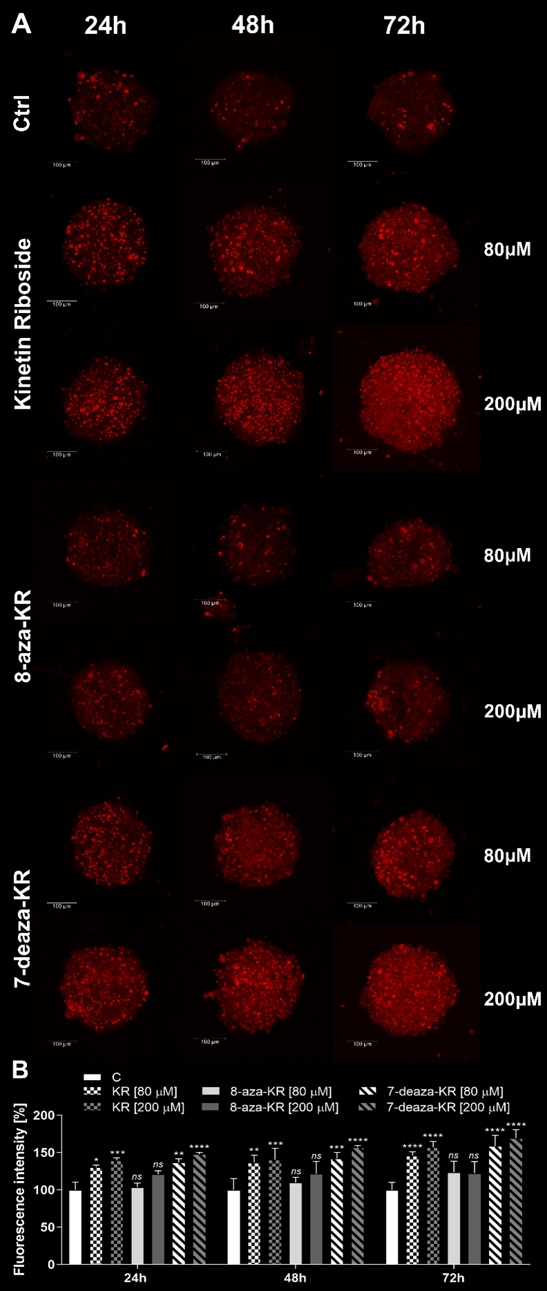 Antioxidants 10 00950 g005