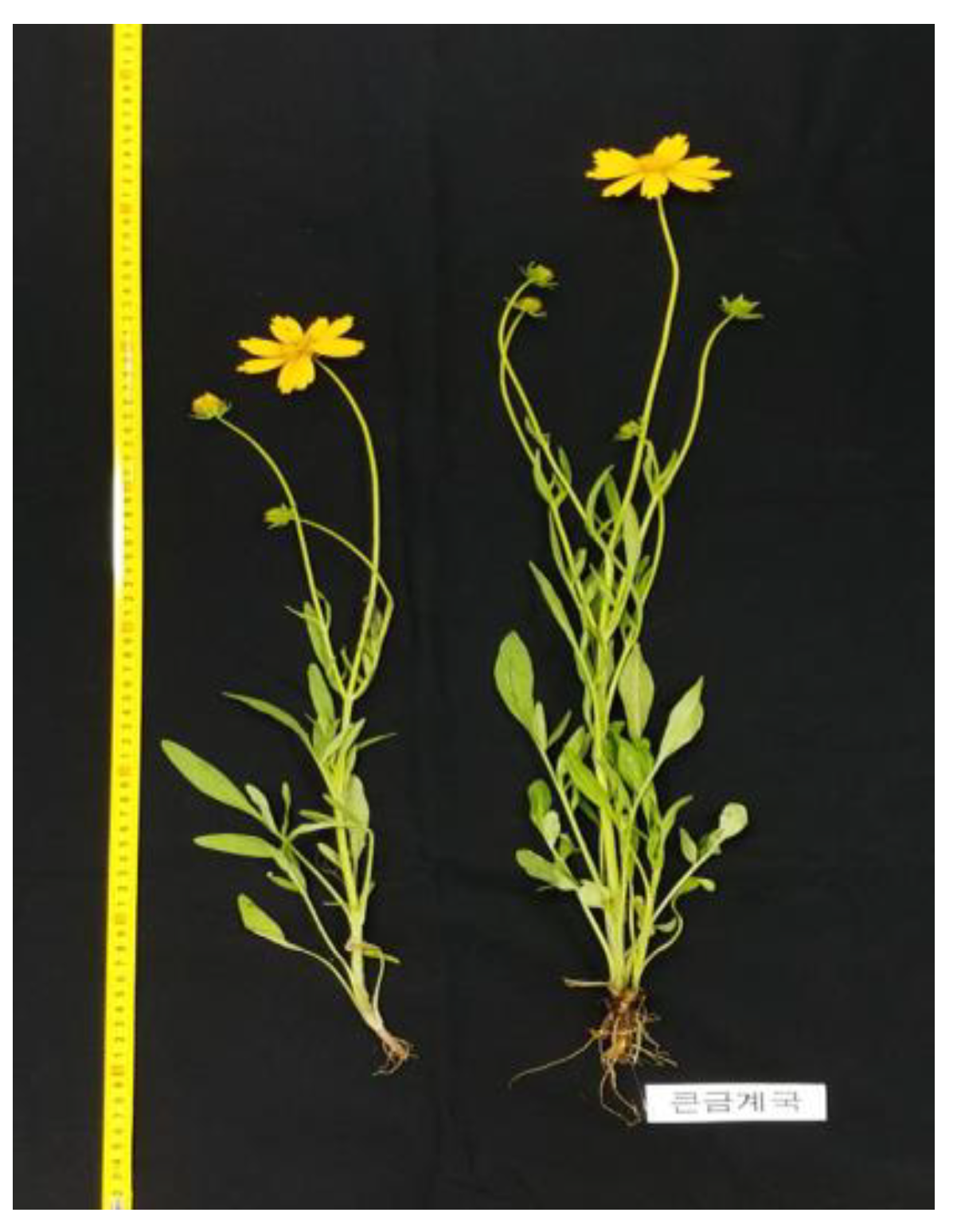 Antioxidants 10 00951 g001 Antioxidants 10 00951 g001