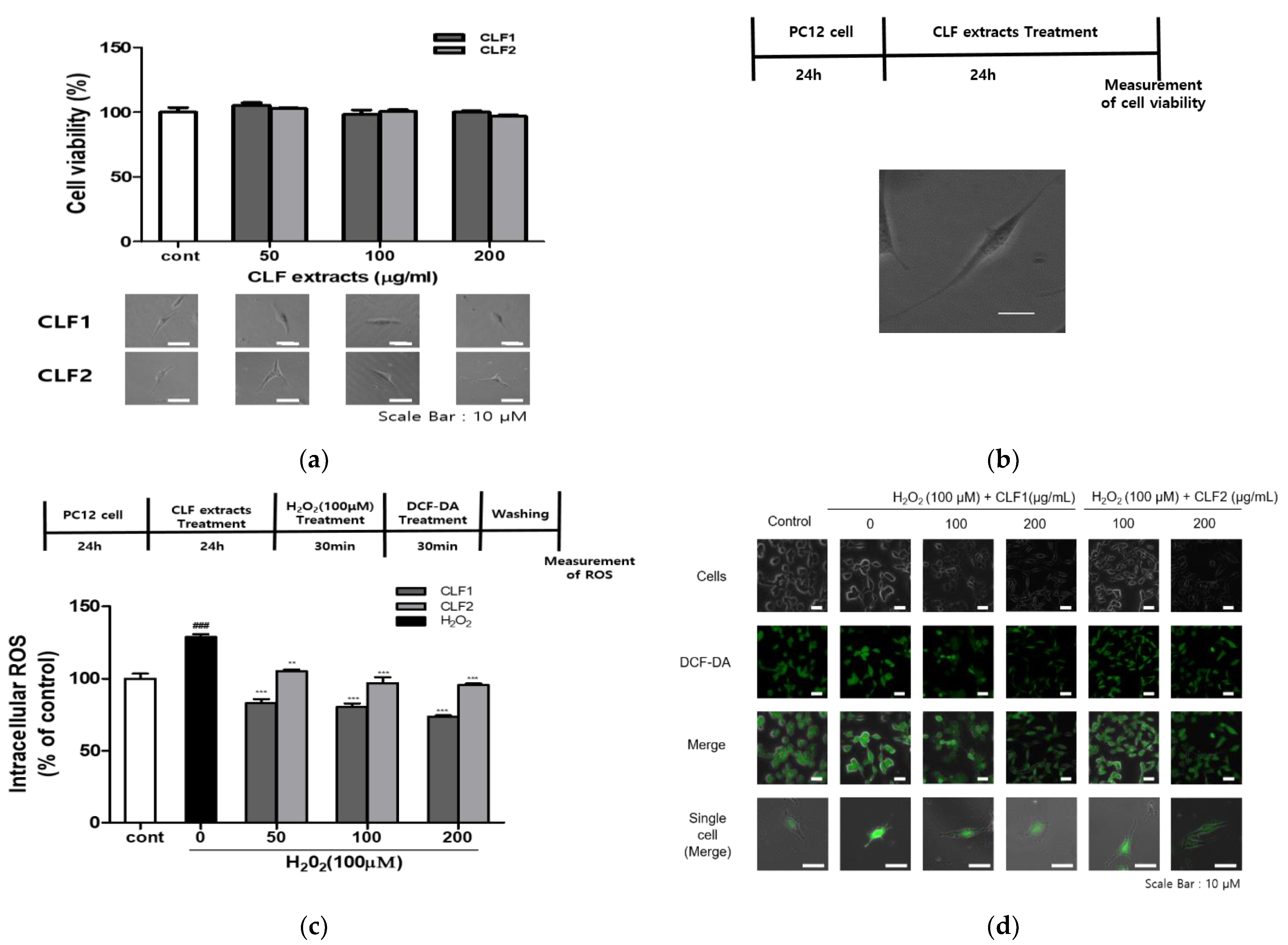 Antioxidants 10 00951 g004 Antioxidants 10 00951 g004