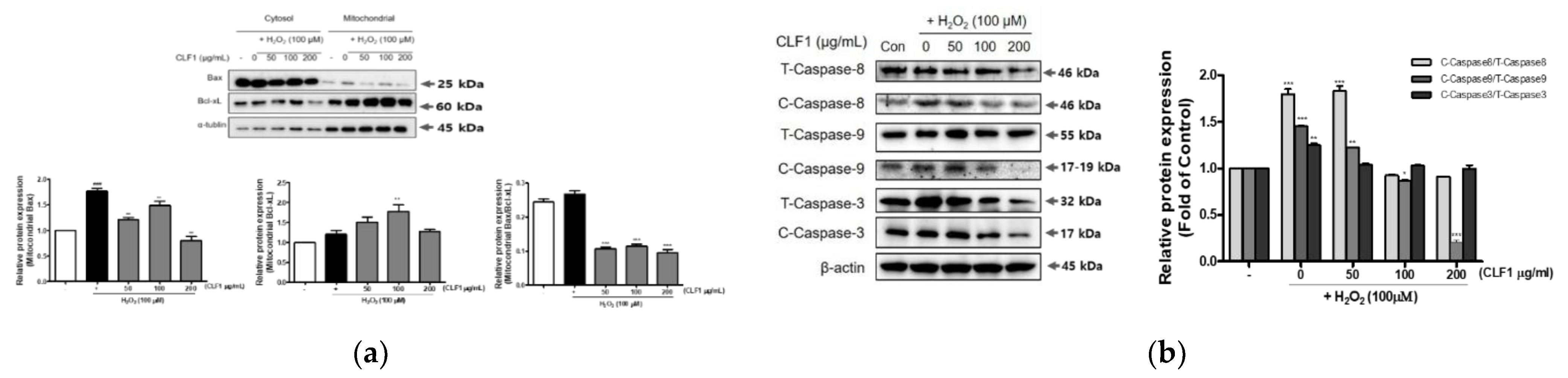 Antioxidants 10 00951 g006 Antioxidants 10 00951 g006