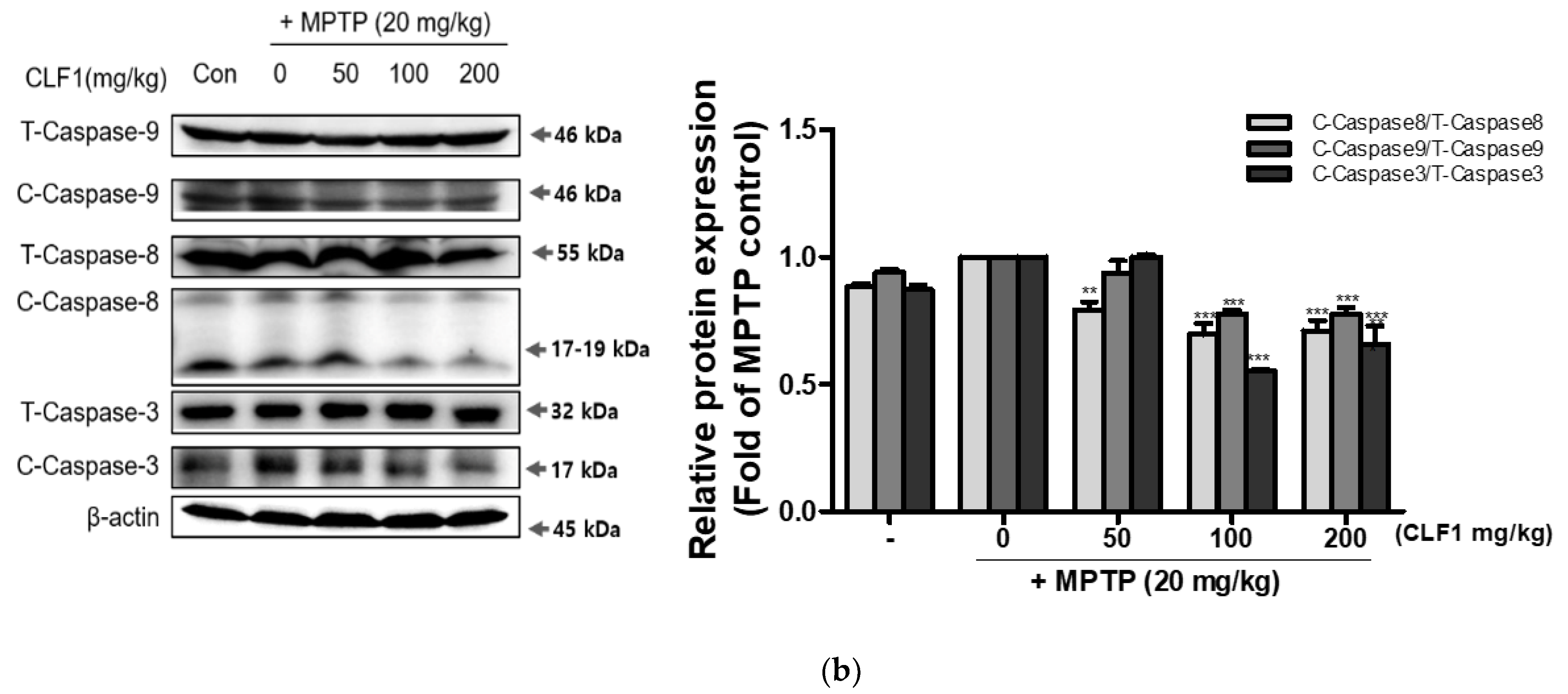 Antioxidants 10 00951 g008b Antioxidants 10 00951 g008b
