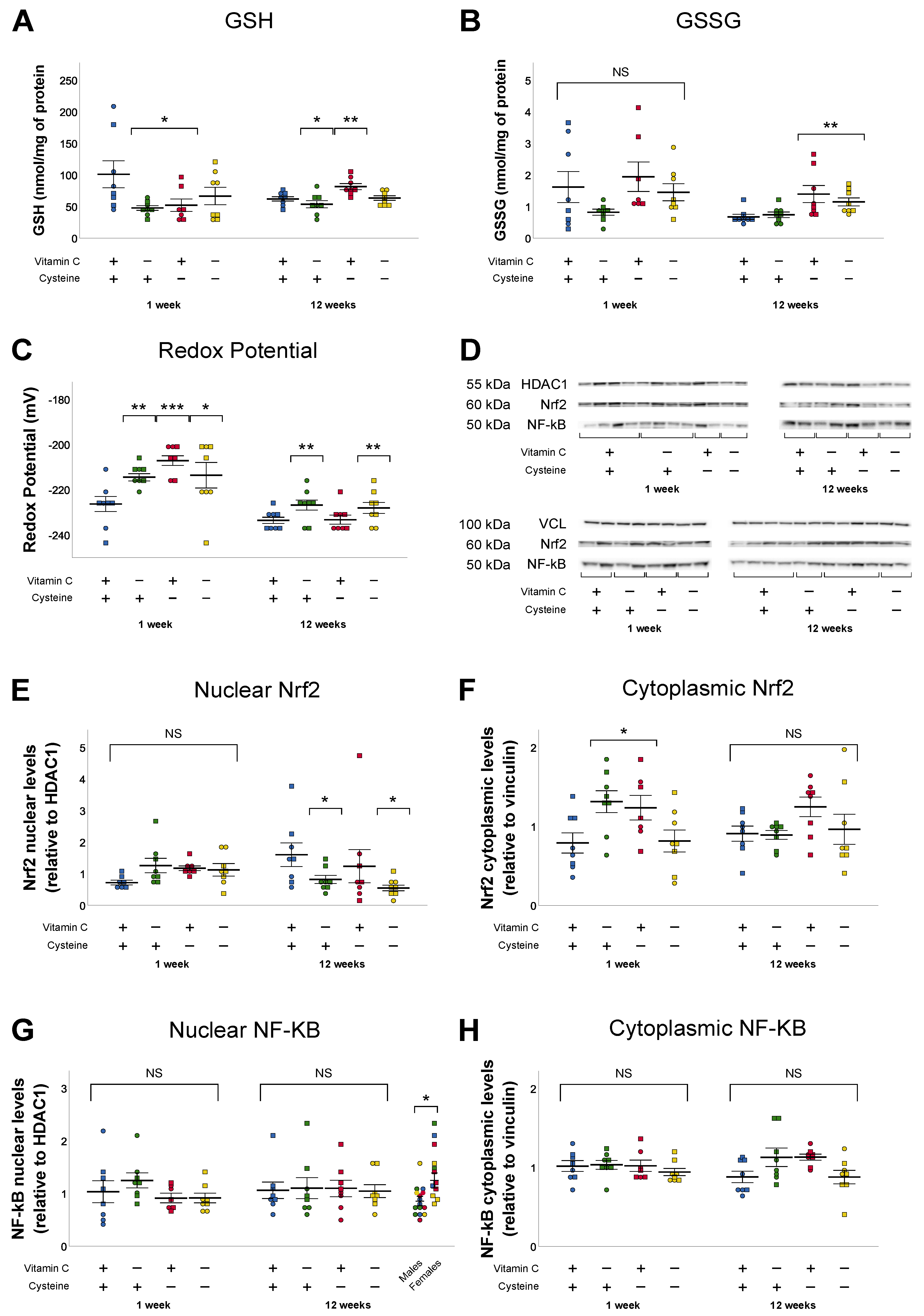 Antioxidants 10 00953 g003 Antioxidants 10 00953 g003