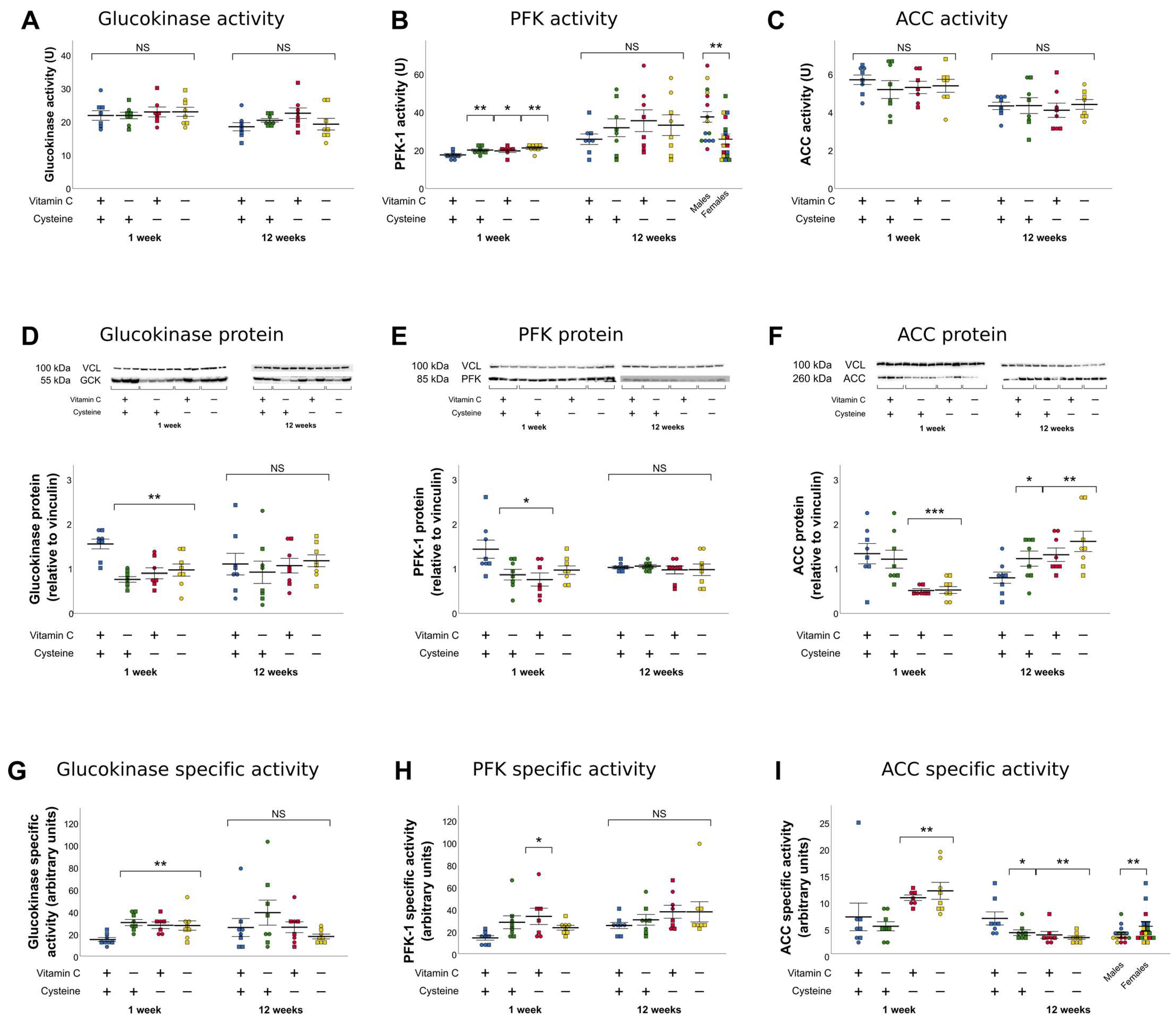 Antioxidants 10 00953 g005 Antioxidants 10 00953 g005