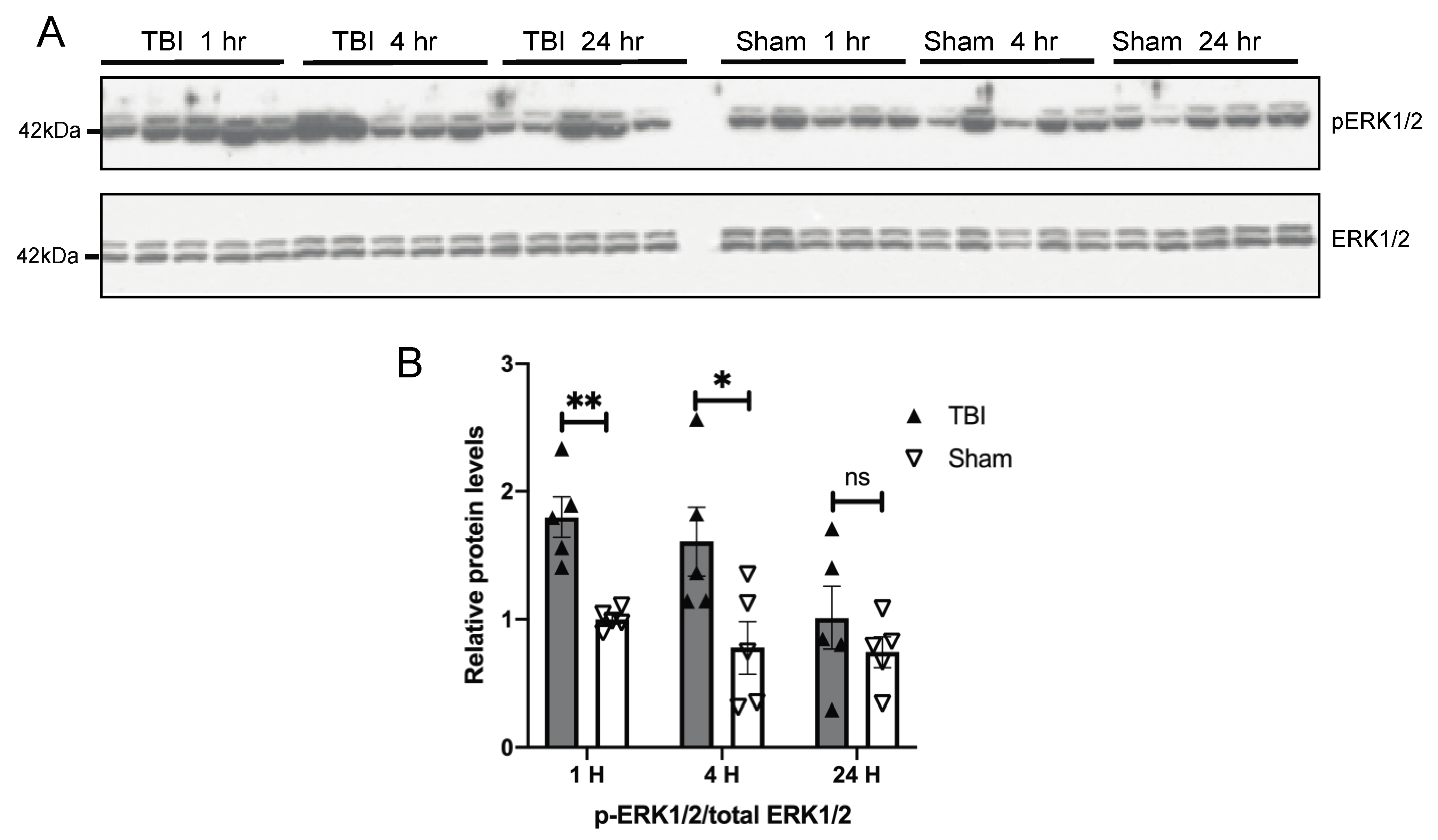 Antioxidants 10 00955 g004
