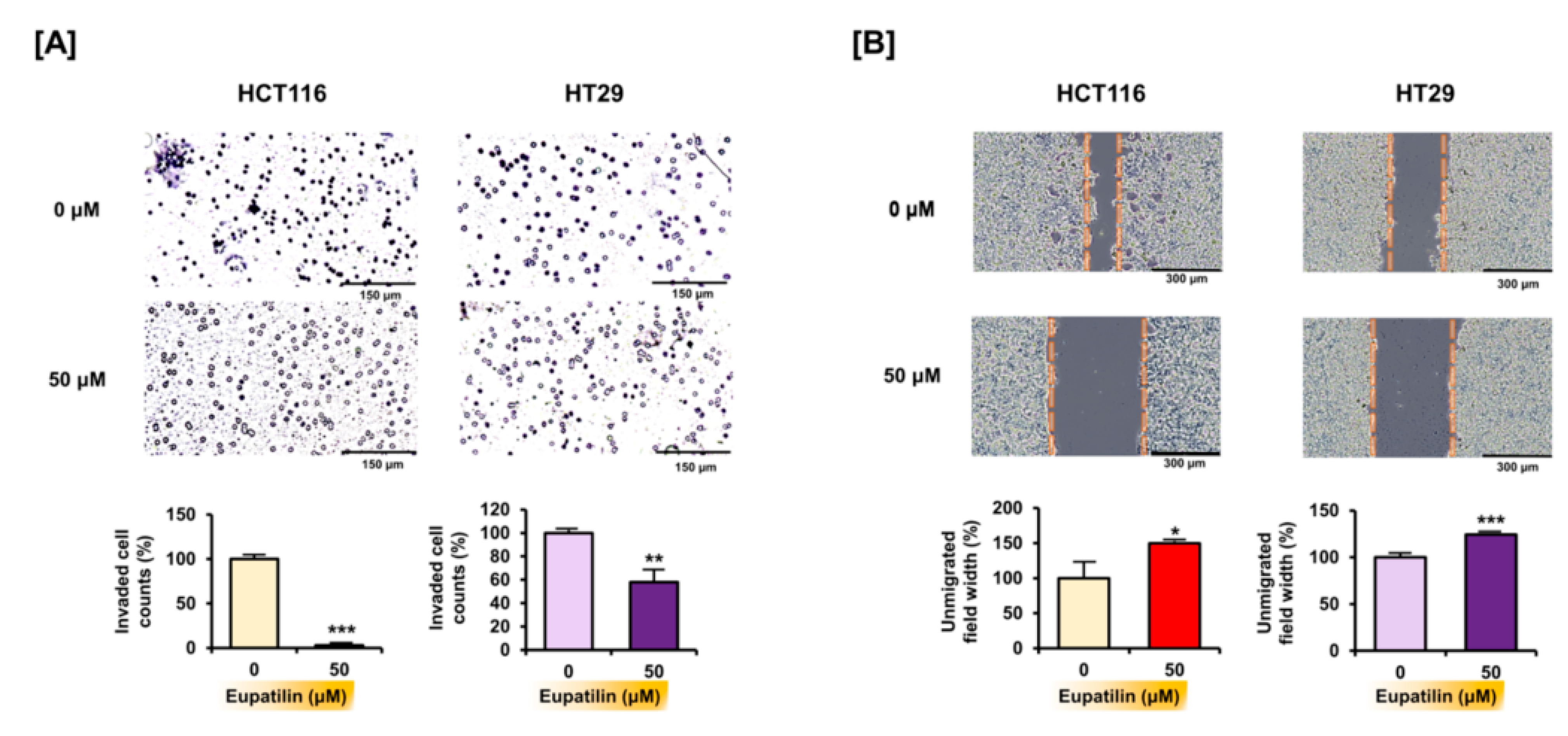 Antioxidants 10 00957 g006 Antioxidants 10 00957 g006