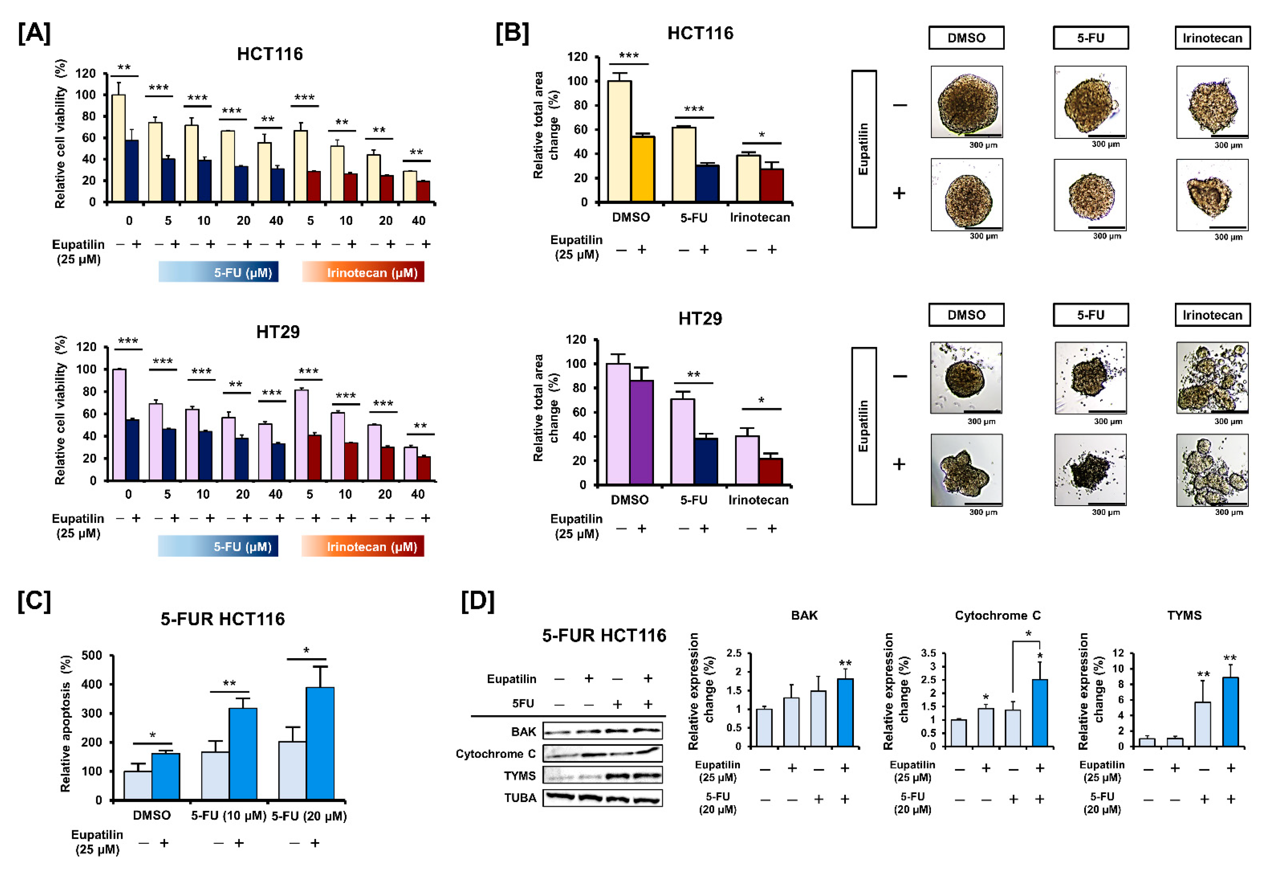 Antioxidants 10 00957 g007 Antioxidants 10 00957 g007