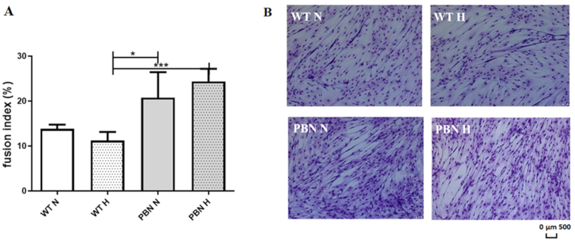 Antioxidants 10 00959 g002 Antioxidants 10 00959 g002