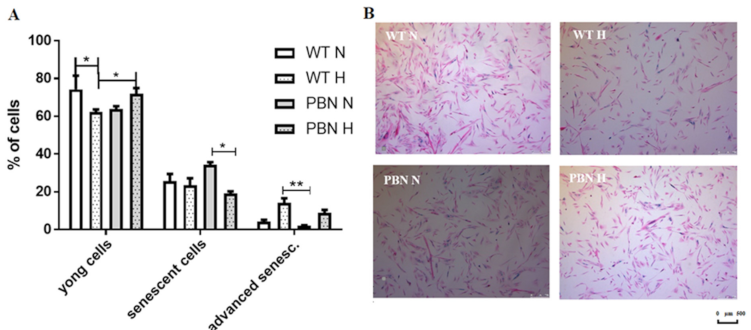 Antioxidants 10 00959 g003 Antioxidants 10 00959 g003