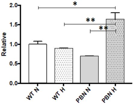 Antioxidants 10 00959 g007 Antioxidants 10 00959 g007