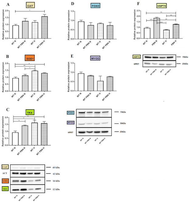 Antioxidants 10 00959 g008 Antioxidants 10 00959 g008