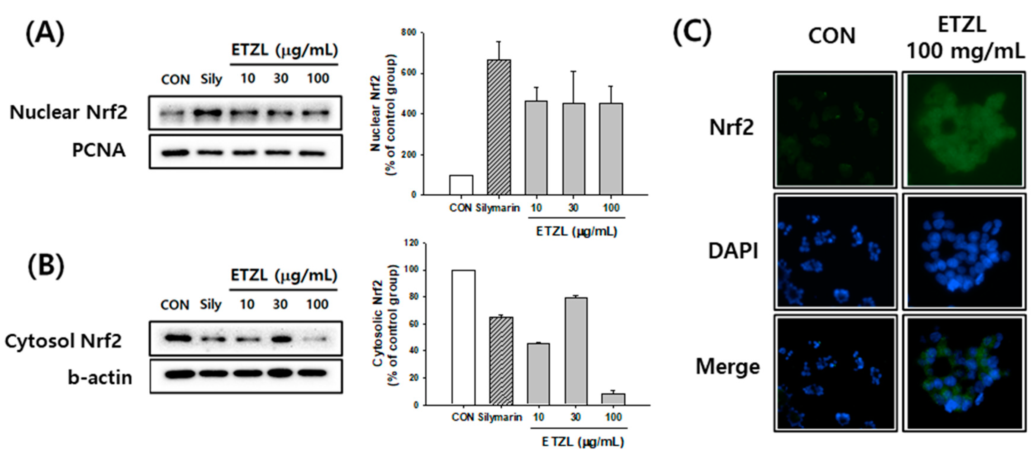 Antioxidants 10 00960 g006