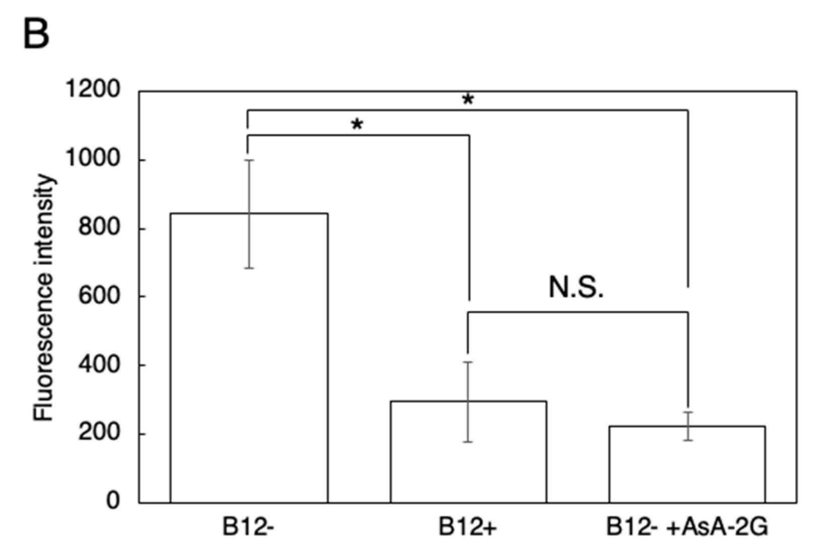 Antioxidants 10 00962 g006b