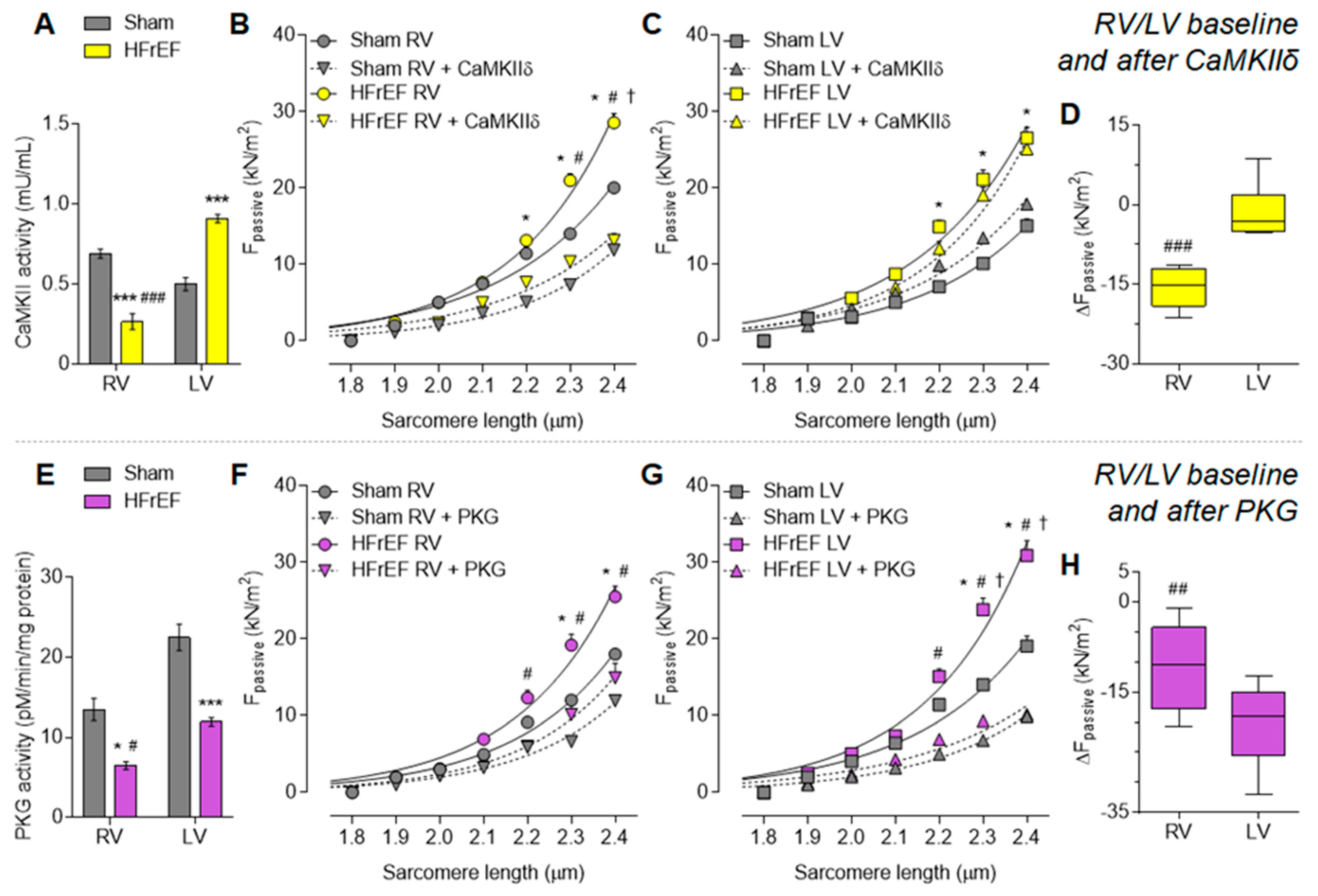 Antioxidants 10 00964 g002