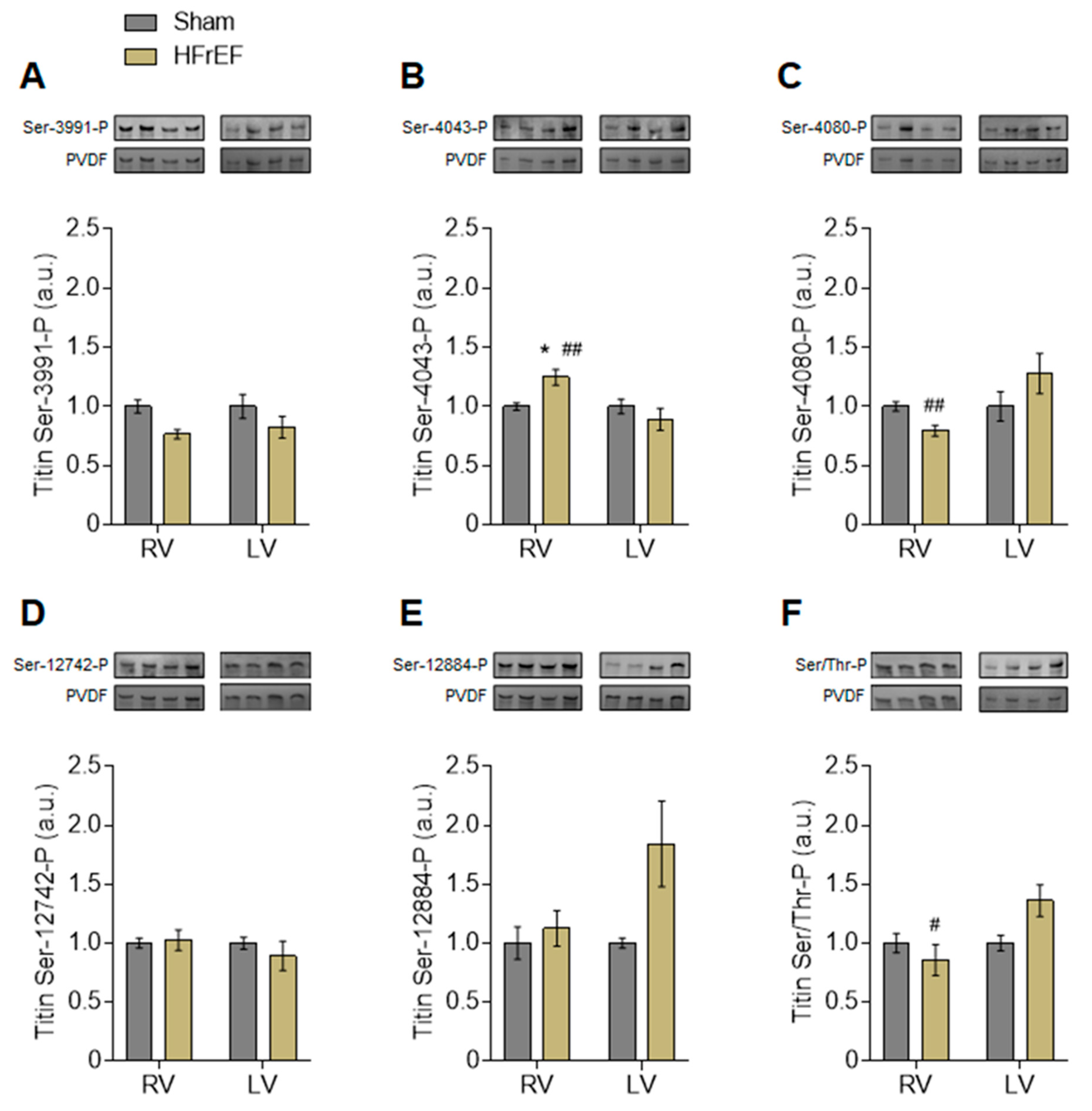 Antioxidants 10 00964 g004