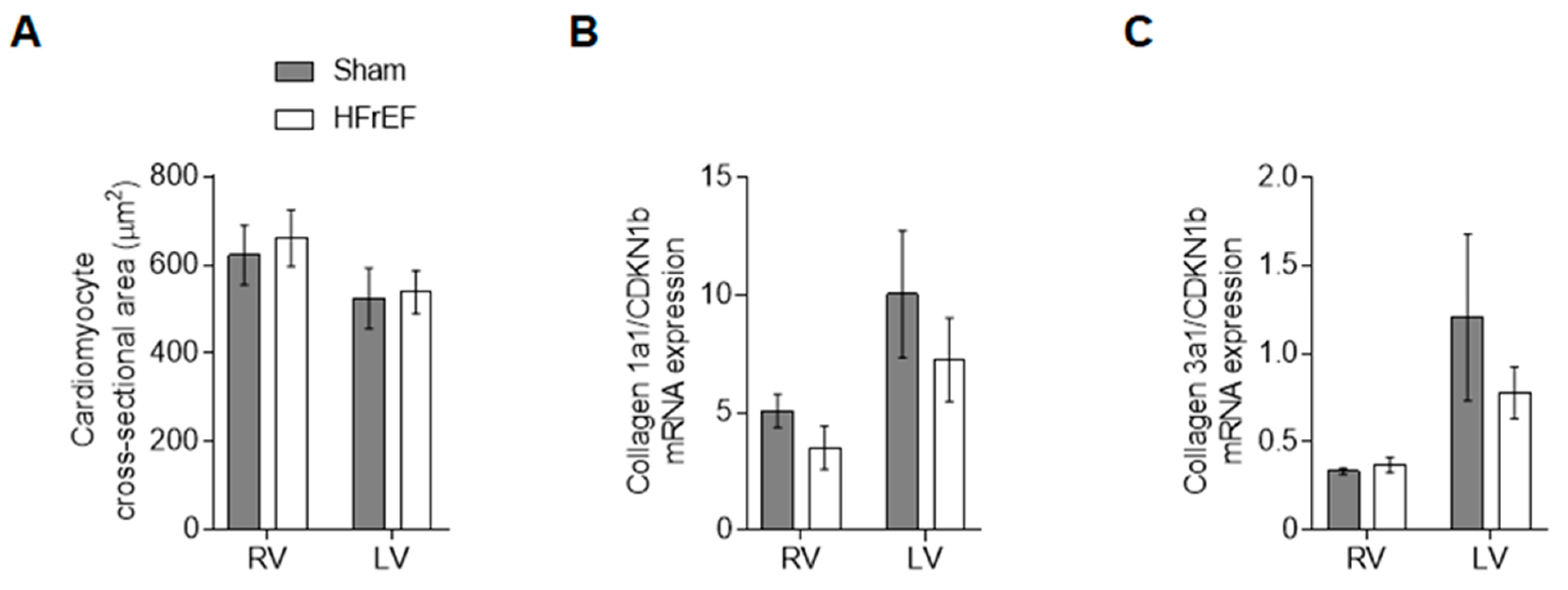 Antioxidants 10 00964 g007