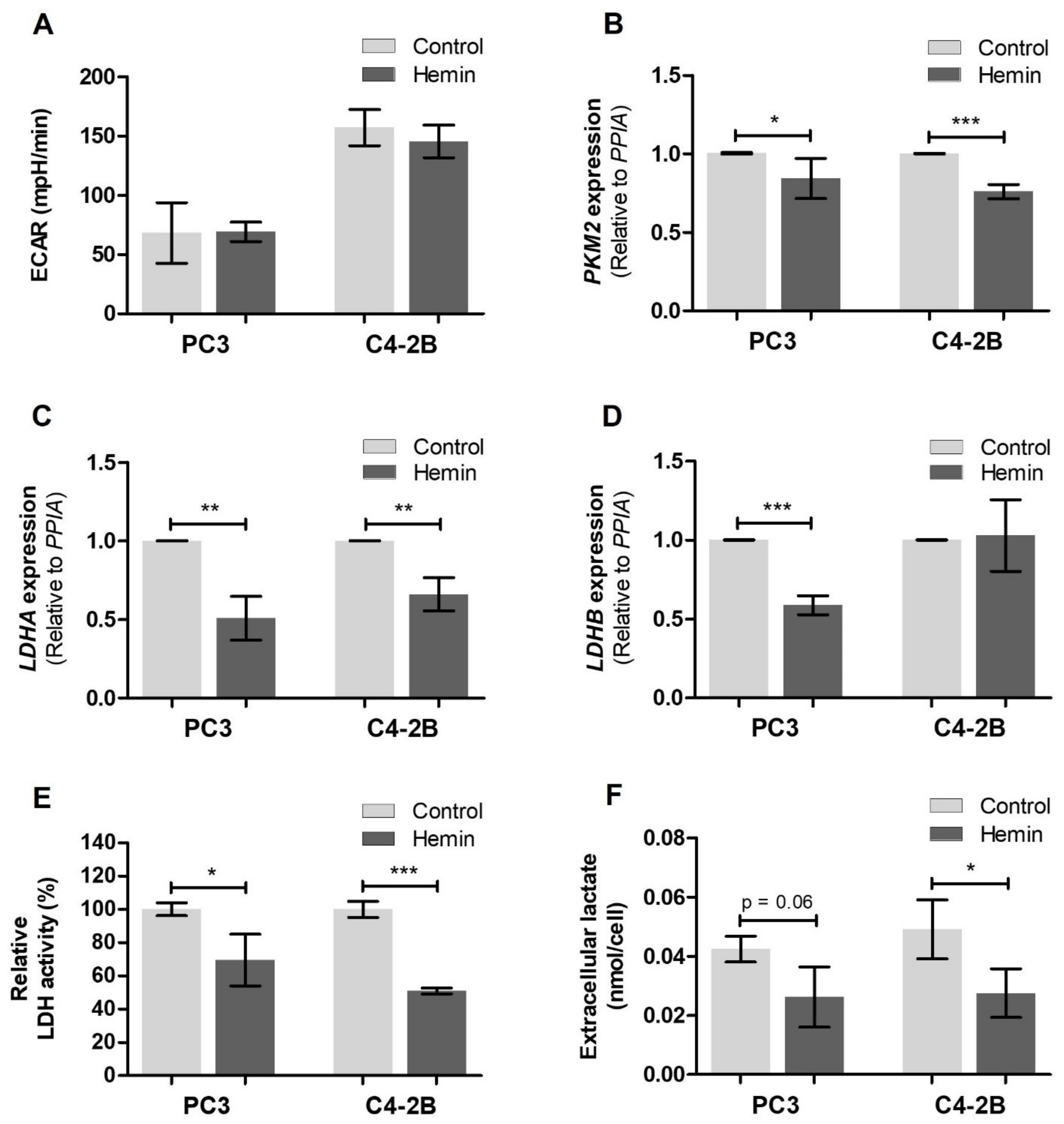 Antioxidants 10 00966 g004