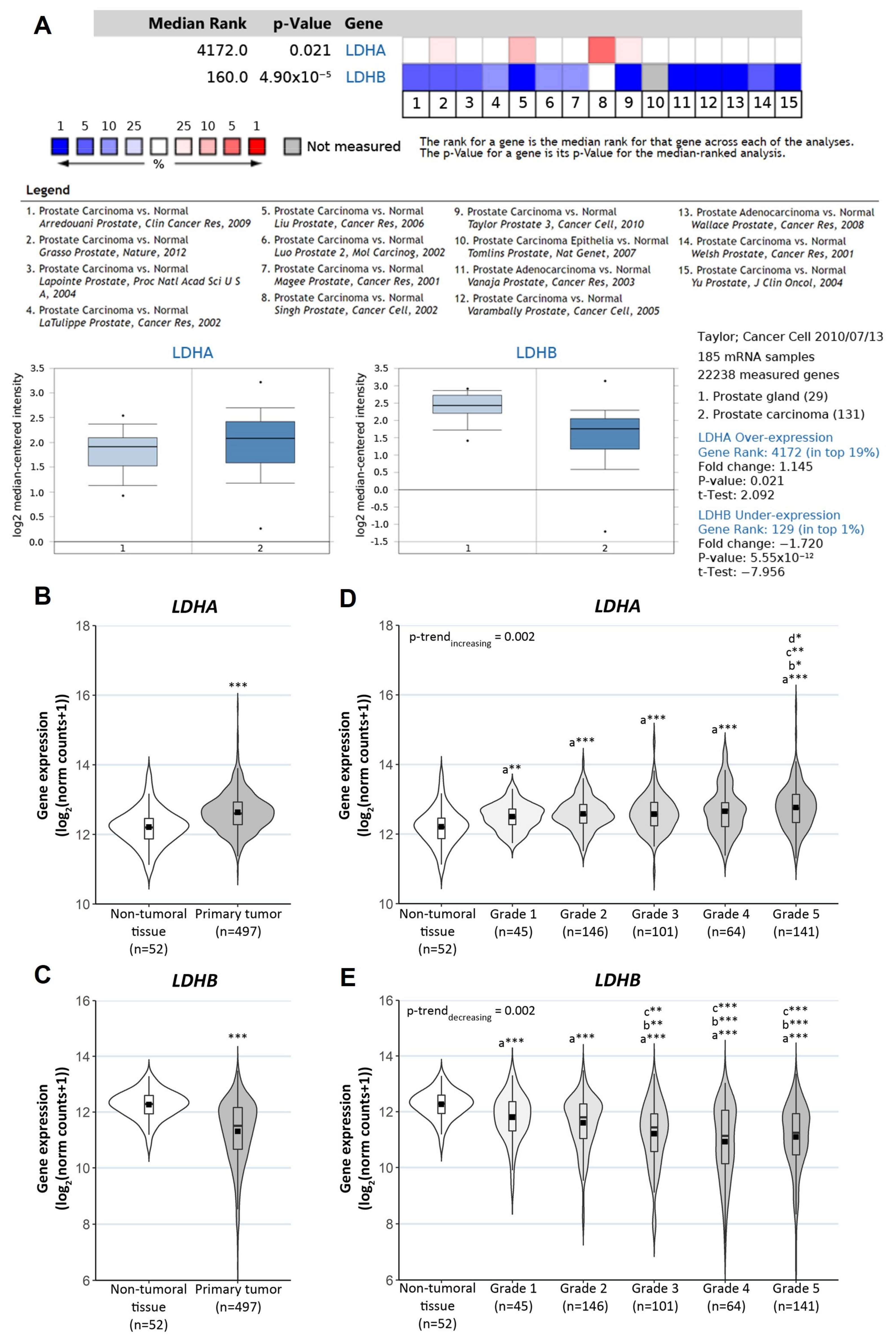 Antioxidants 10 00966 g005
