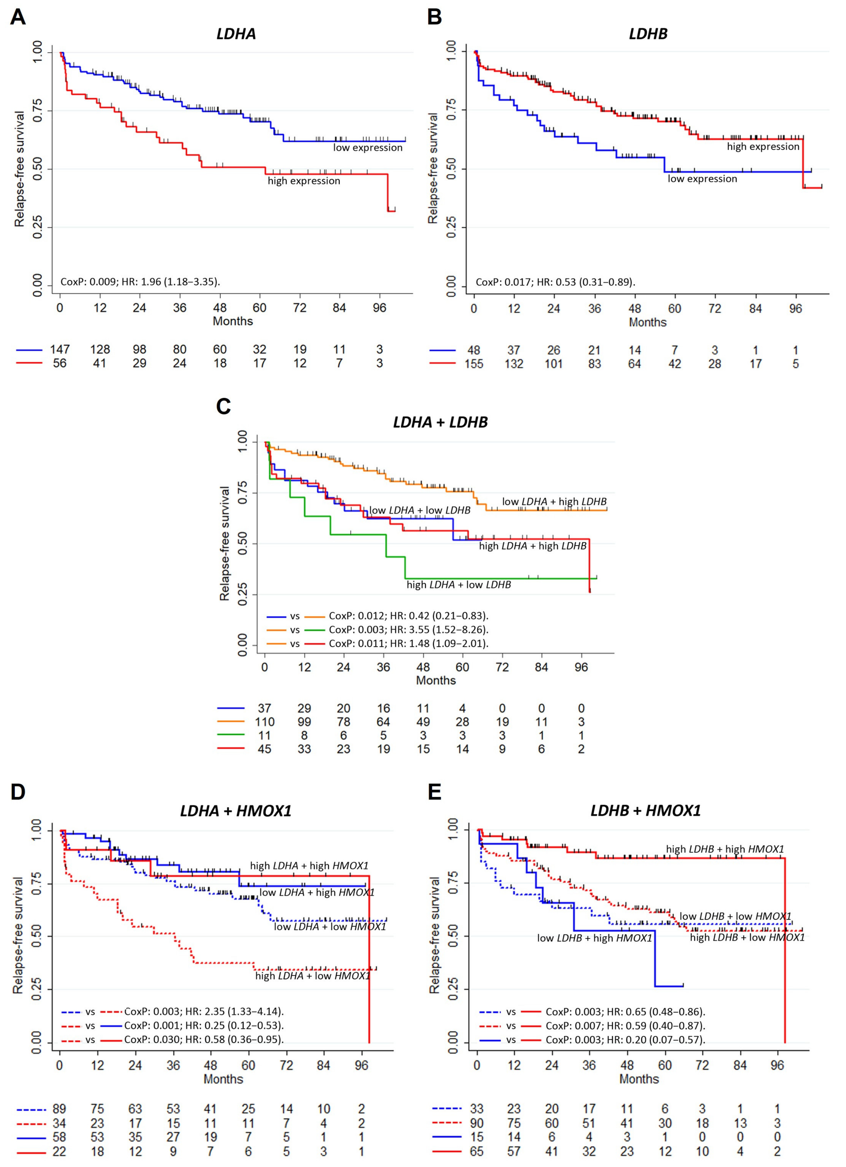 Antioxidants 10 00966 g006