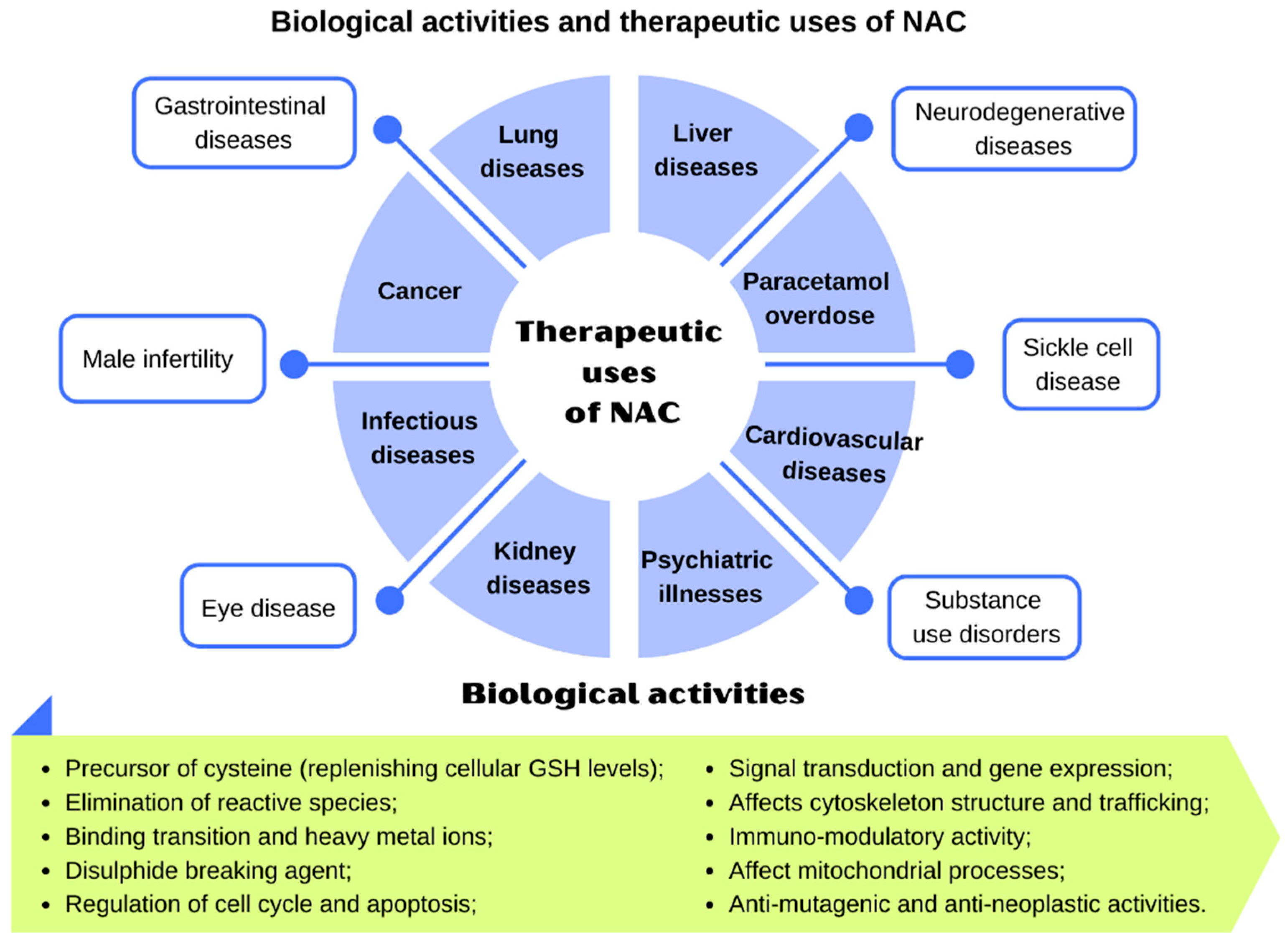 Antioxidants 10 00967 g003 Antioxidants 10 00967 g003
