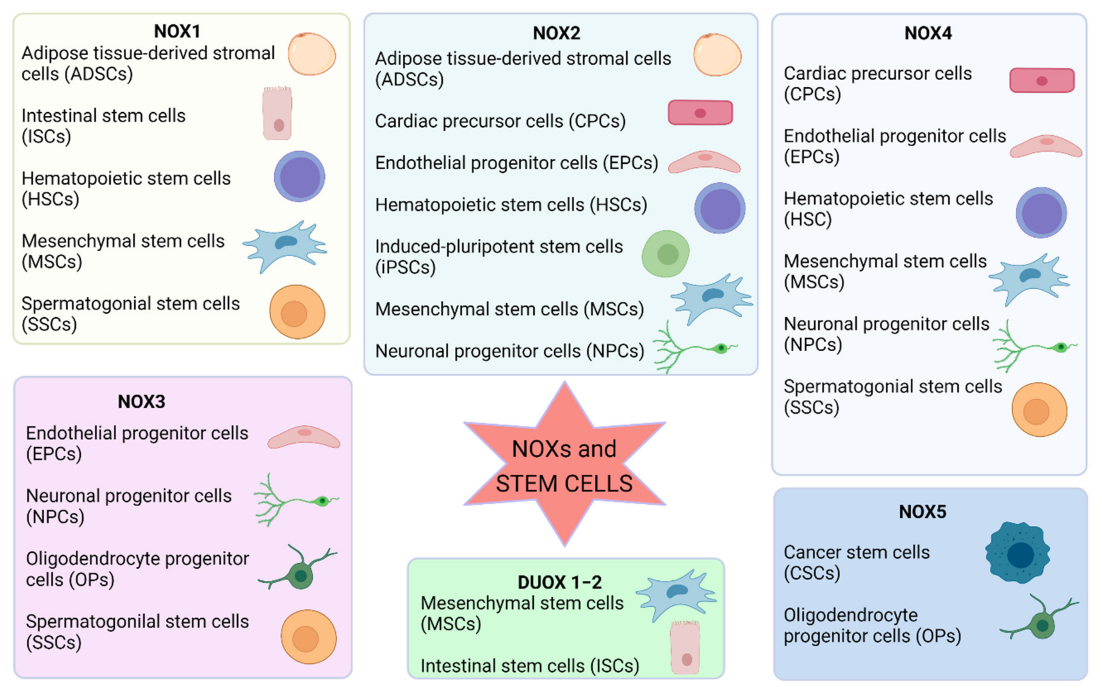 Antioxidants 10 00973 g002