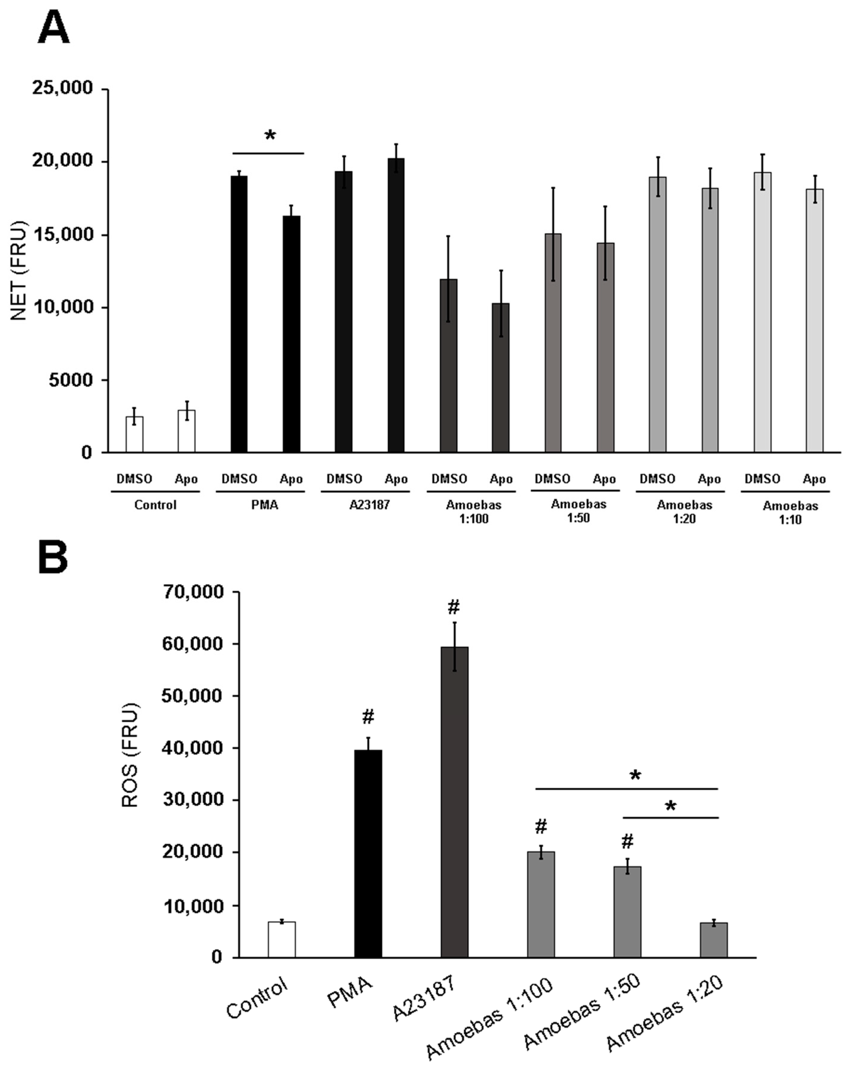 Antioxidants 10 00974 g002