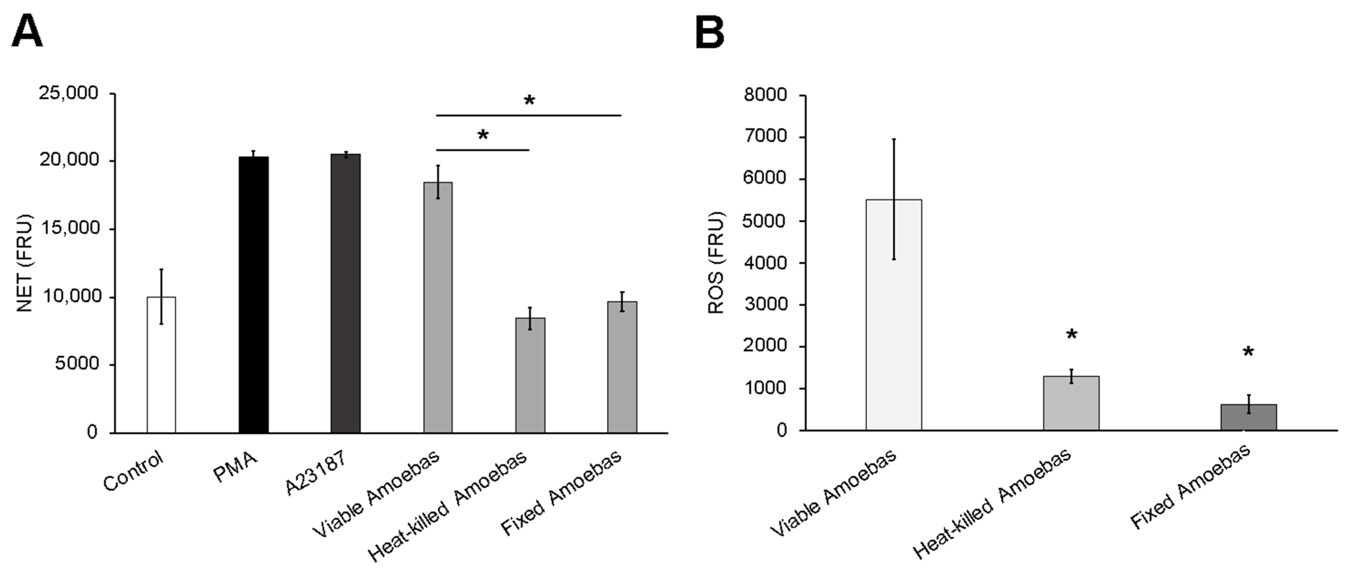 Antioxidants 10 00974 g003