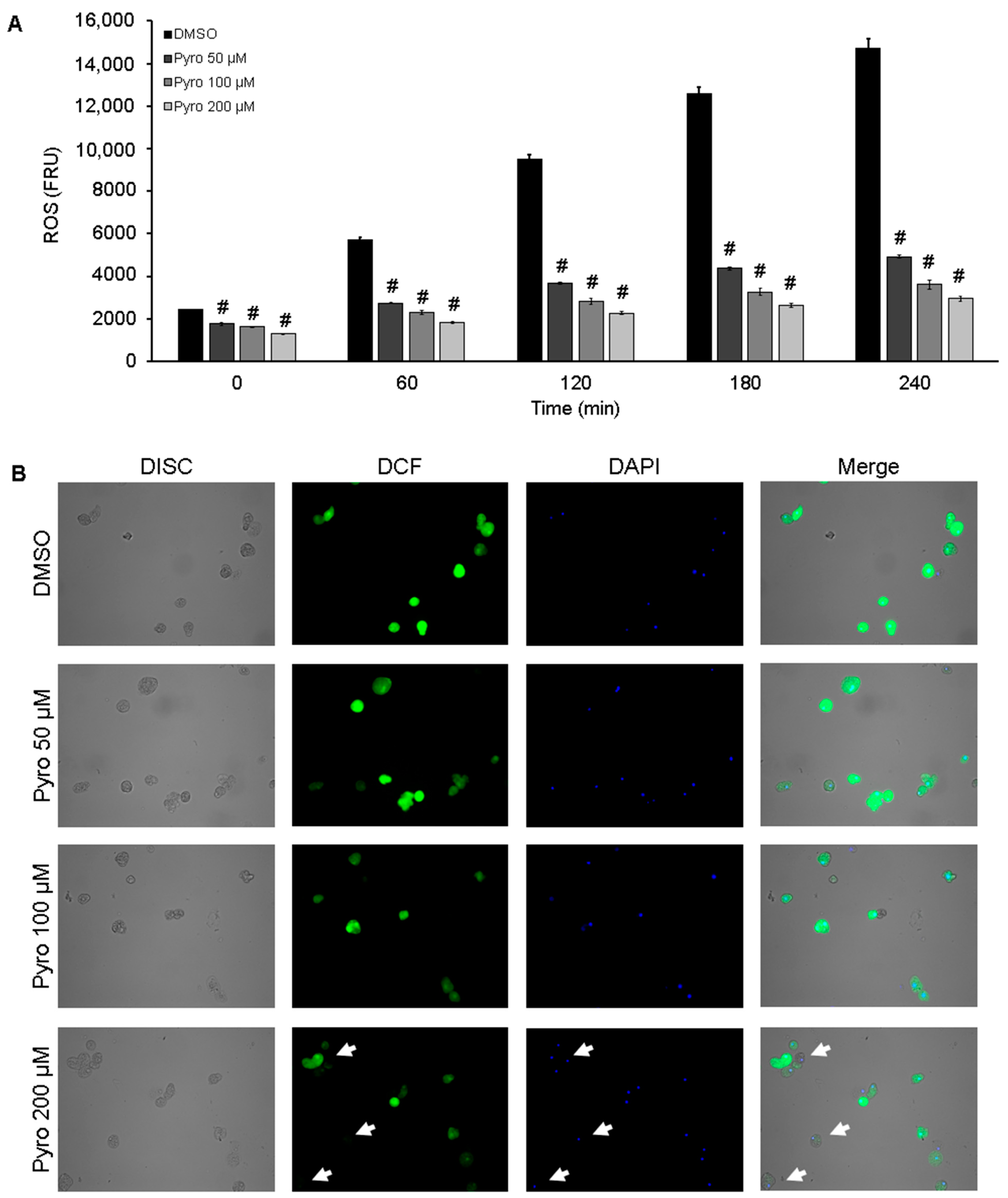Antioxidants 10 00974 g004