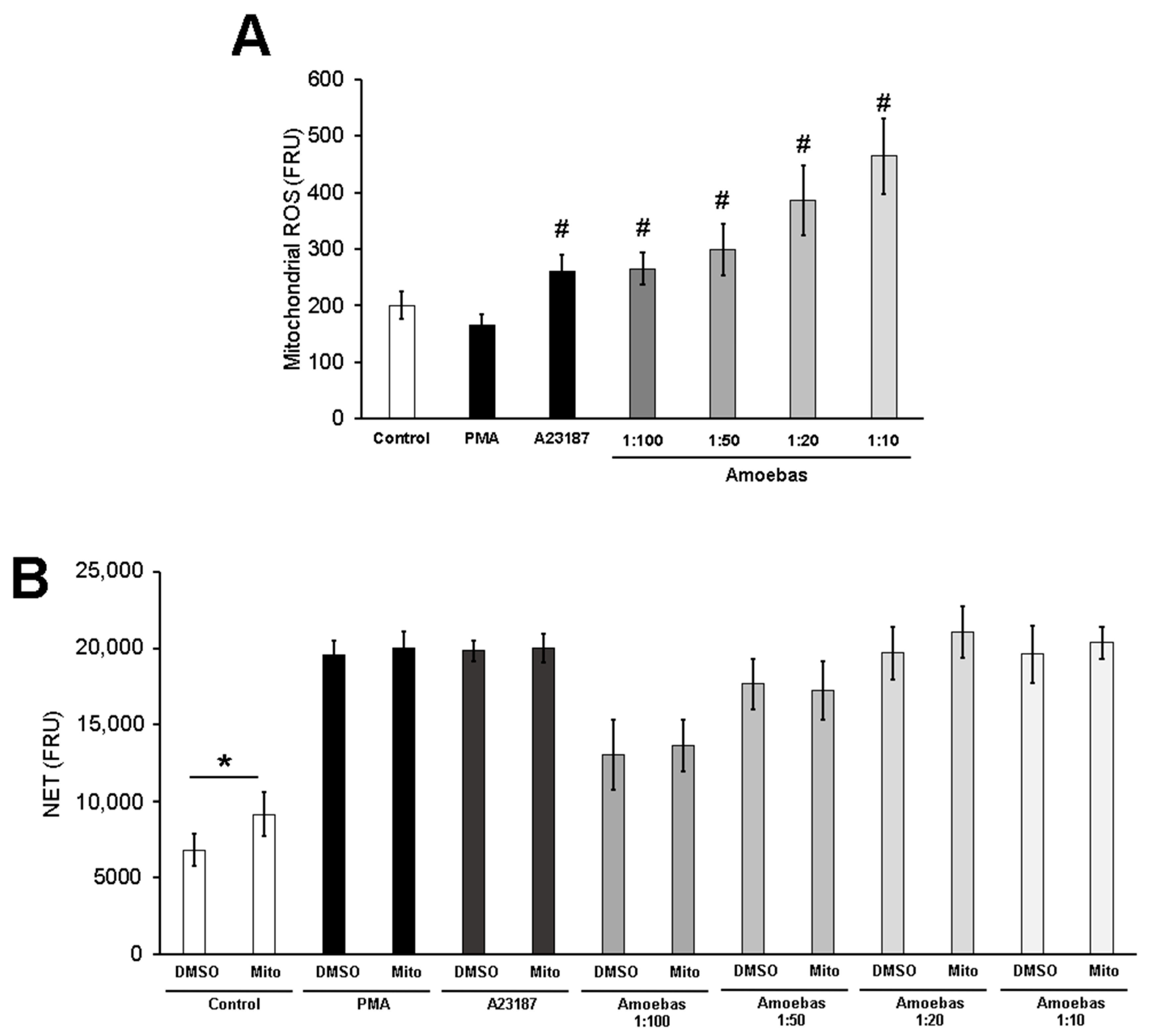 Antioxidants 10 00974 g009
