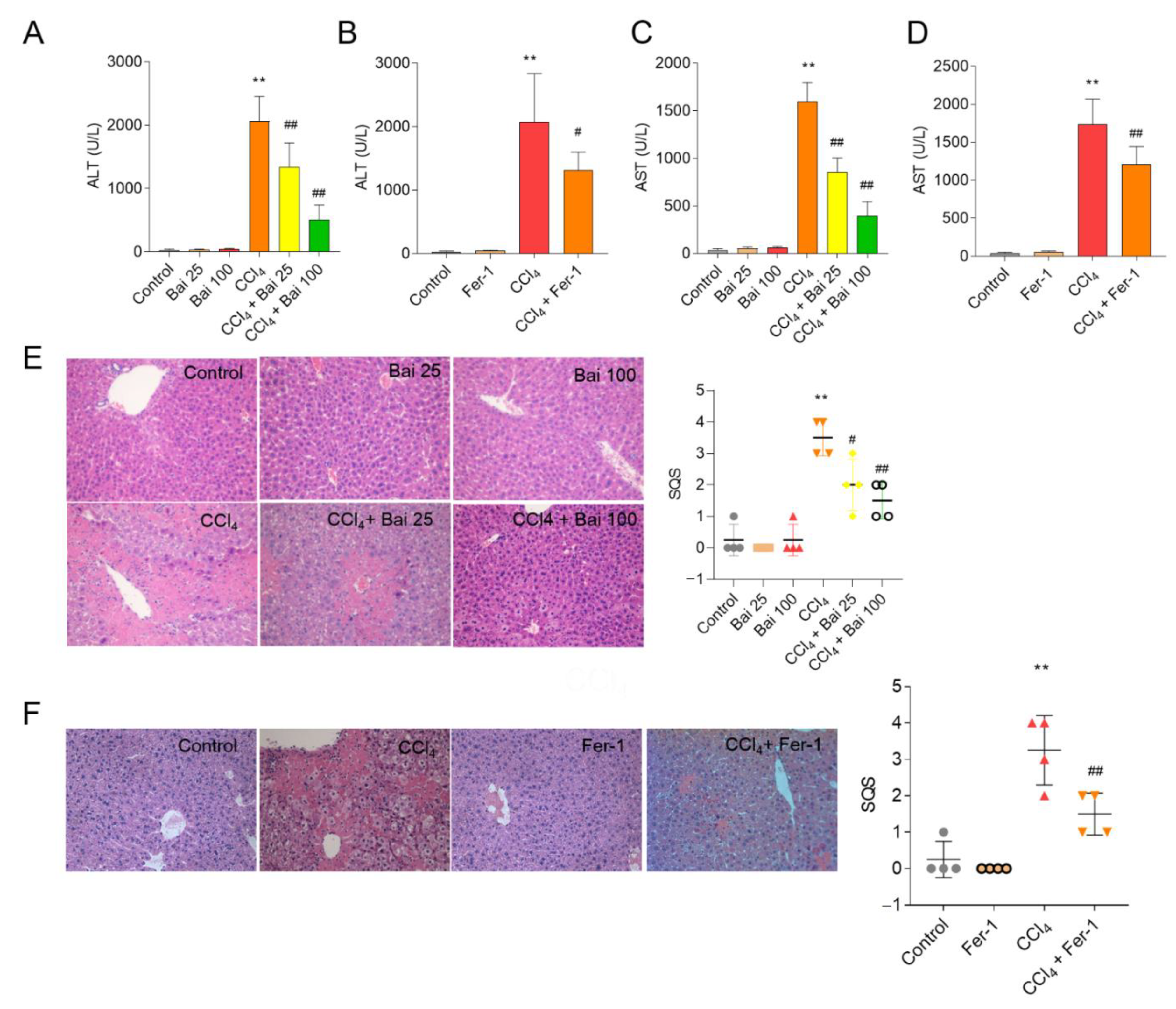 Antioxidants 10 00976 g003