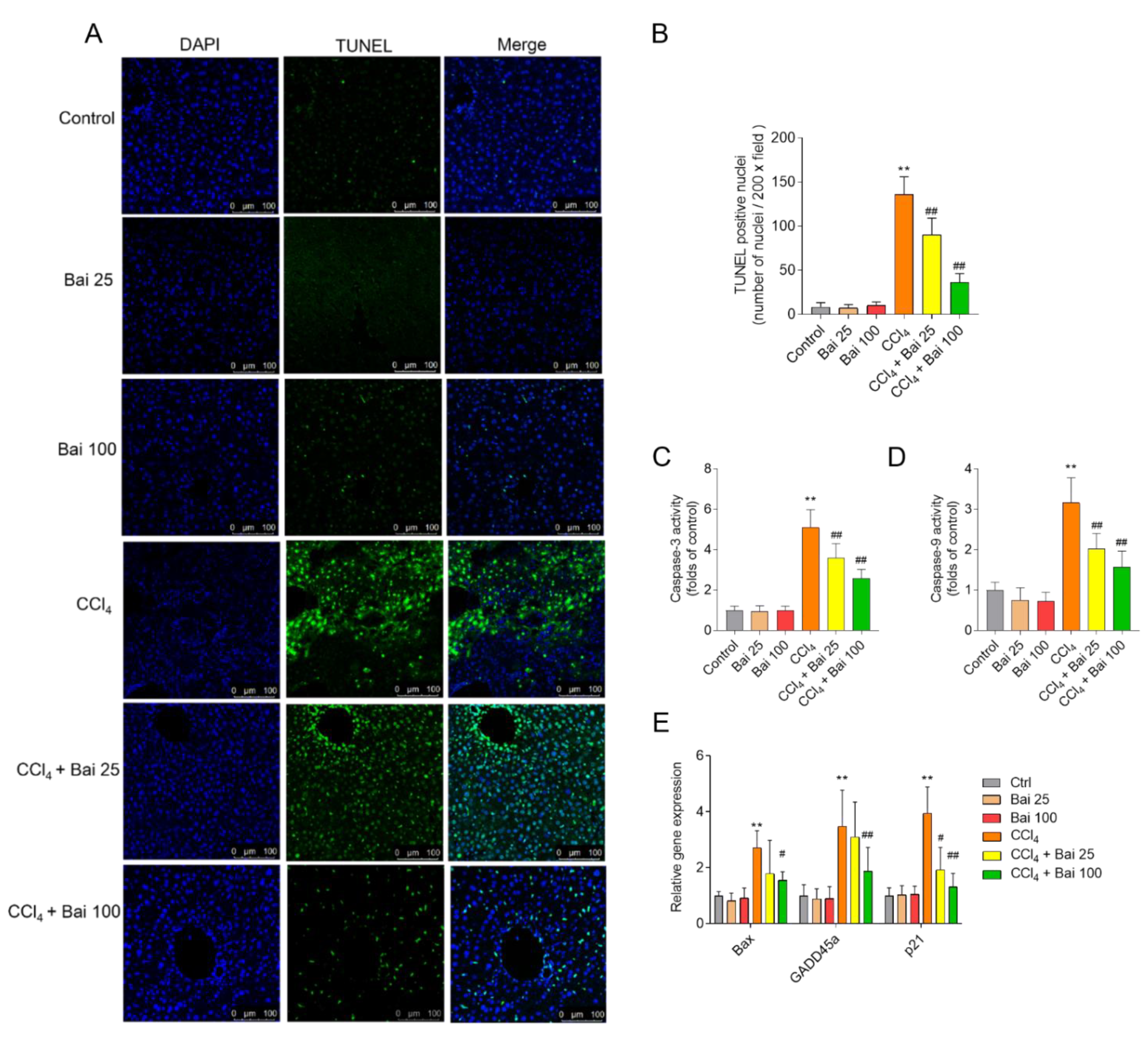 Antioxidants 10 00976 g006