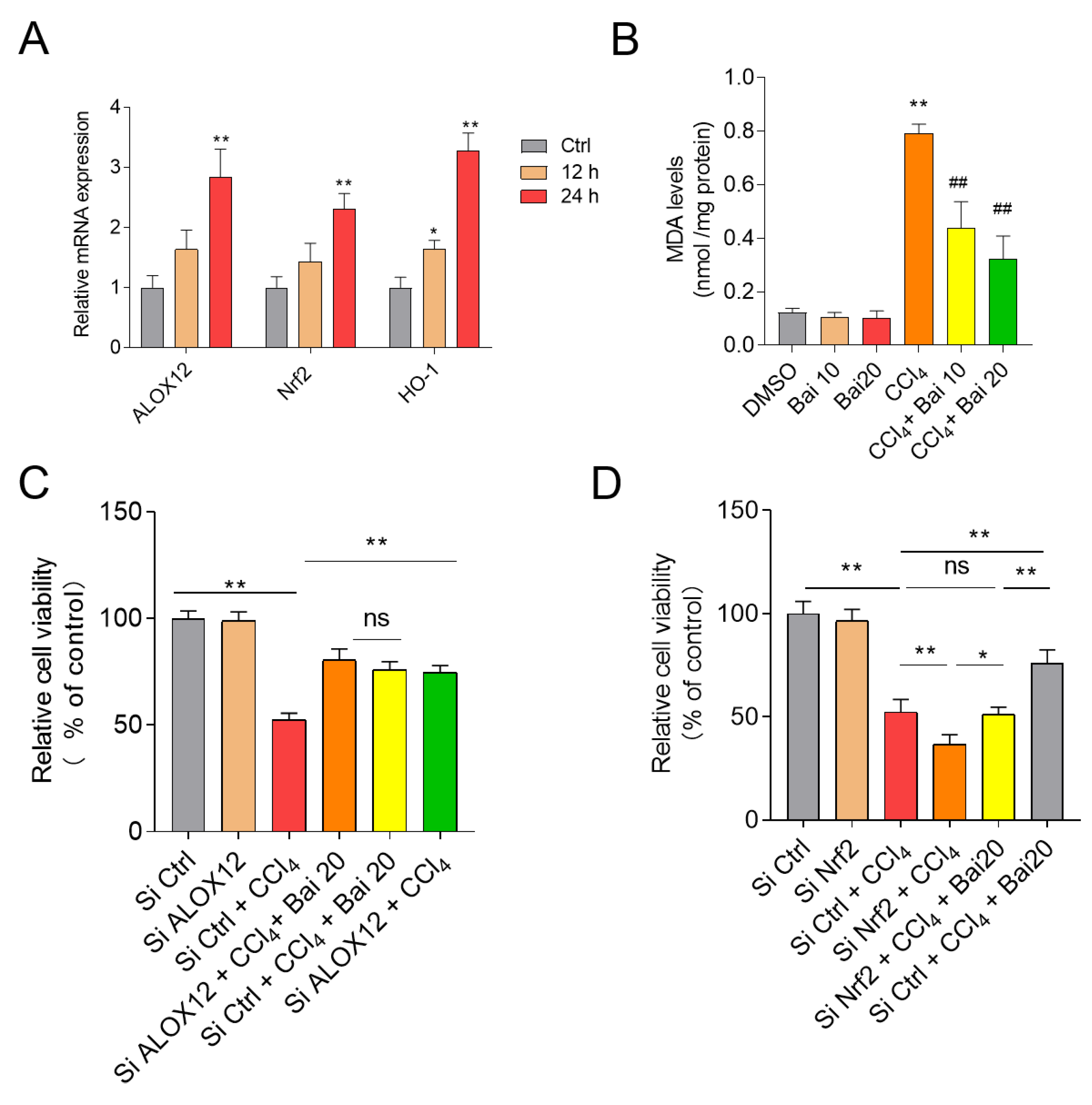 Antioxidants 10 00976 g008
