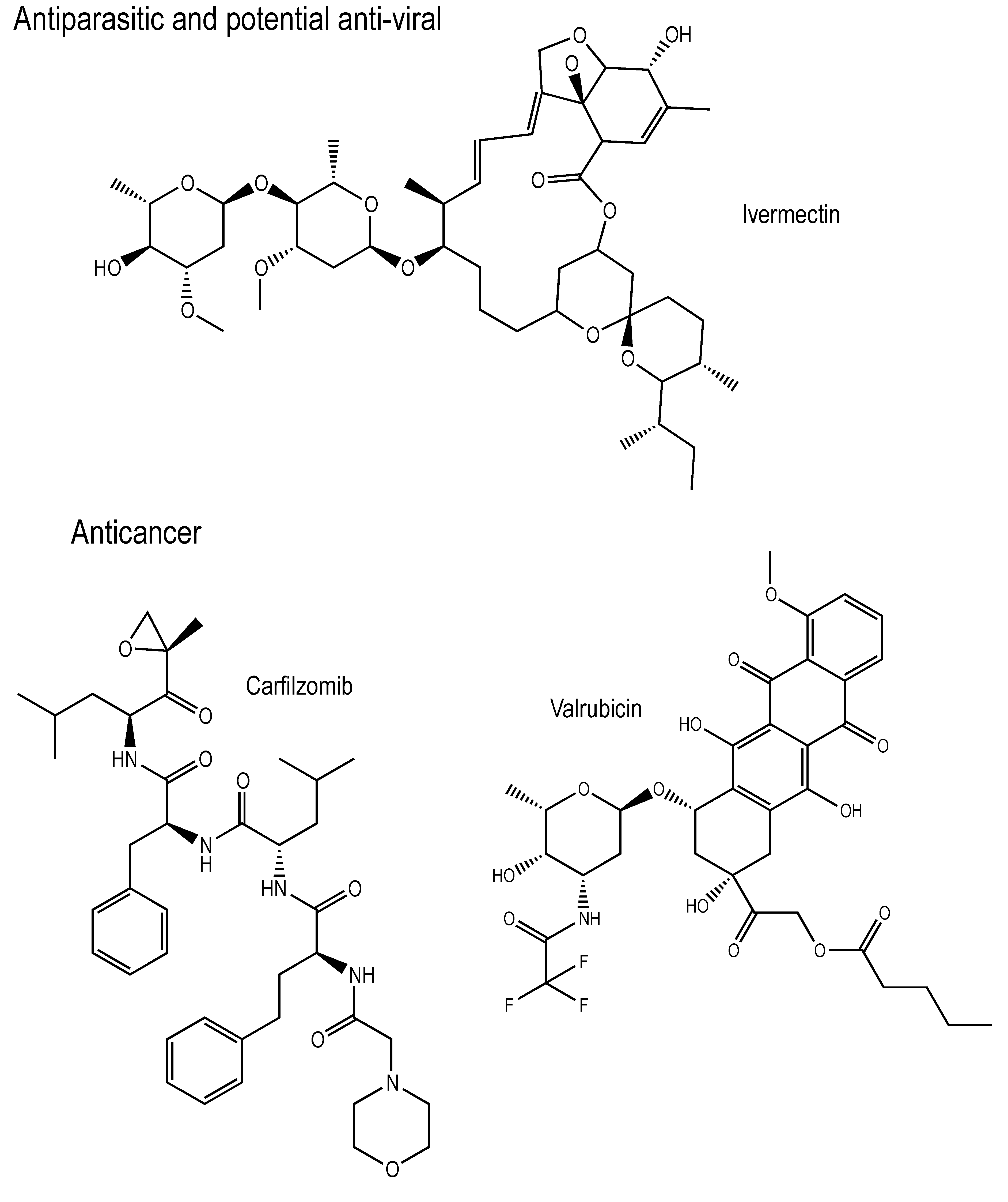 Antioxidants 10 00979 g001b