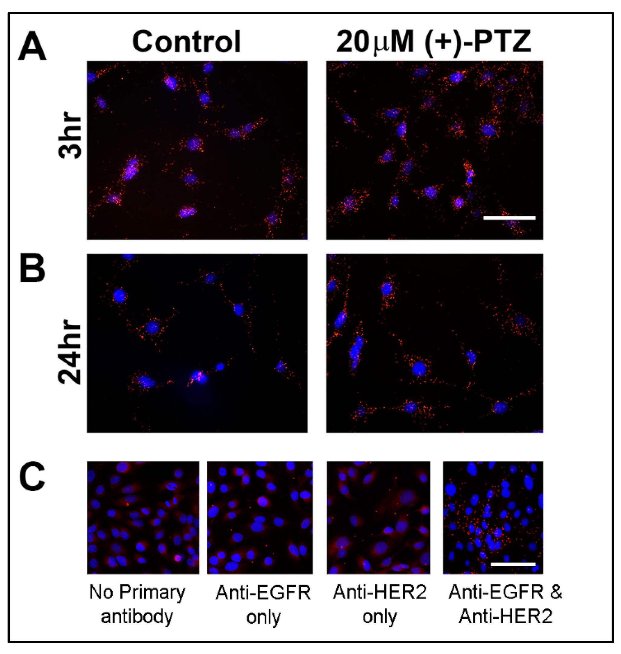 Antioxidants 10 00981 g002