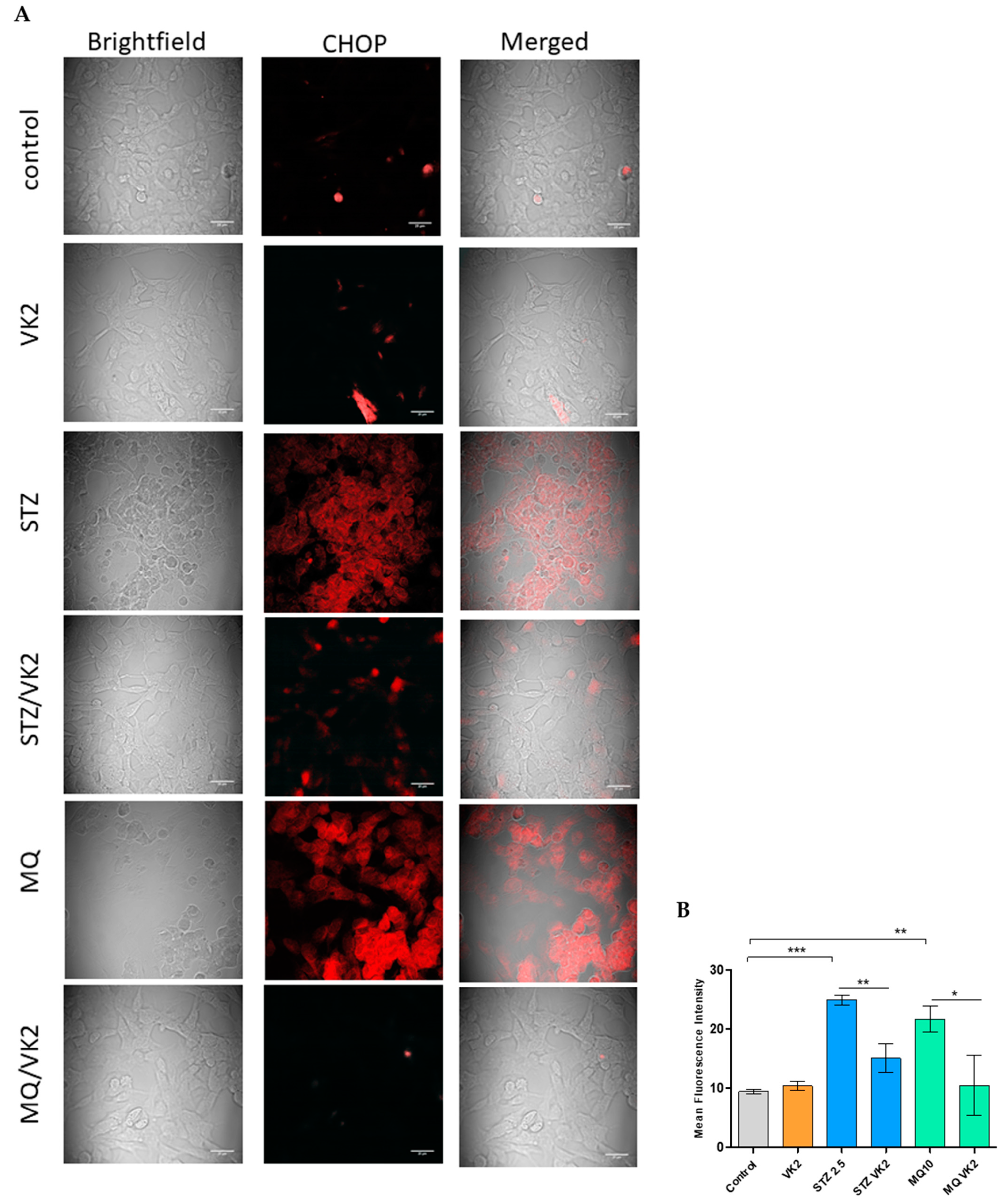 Antioxidants 10 00983 g005