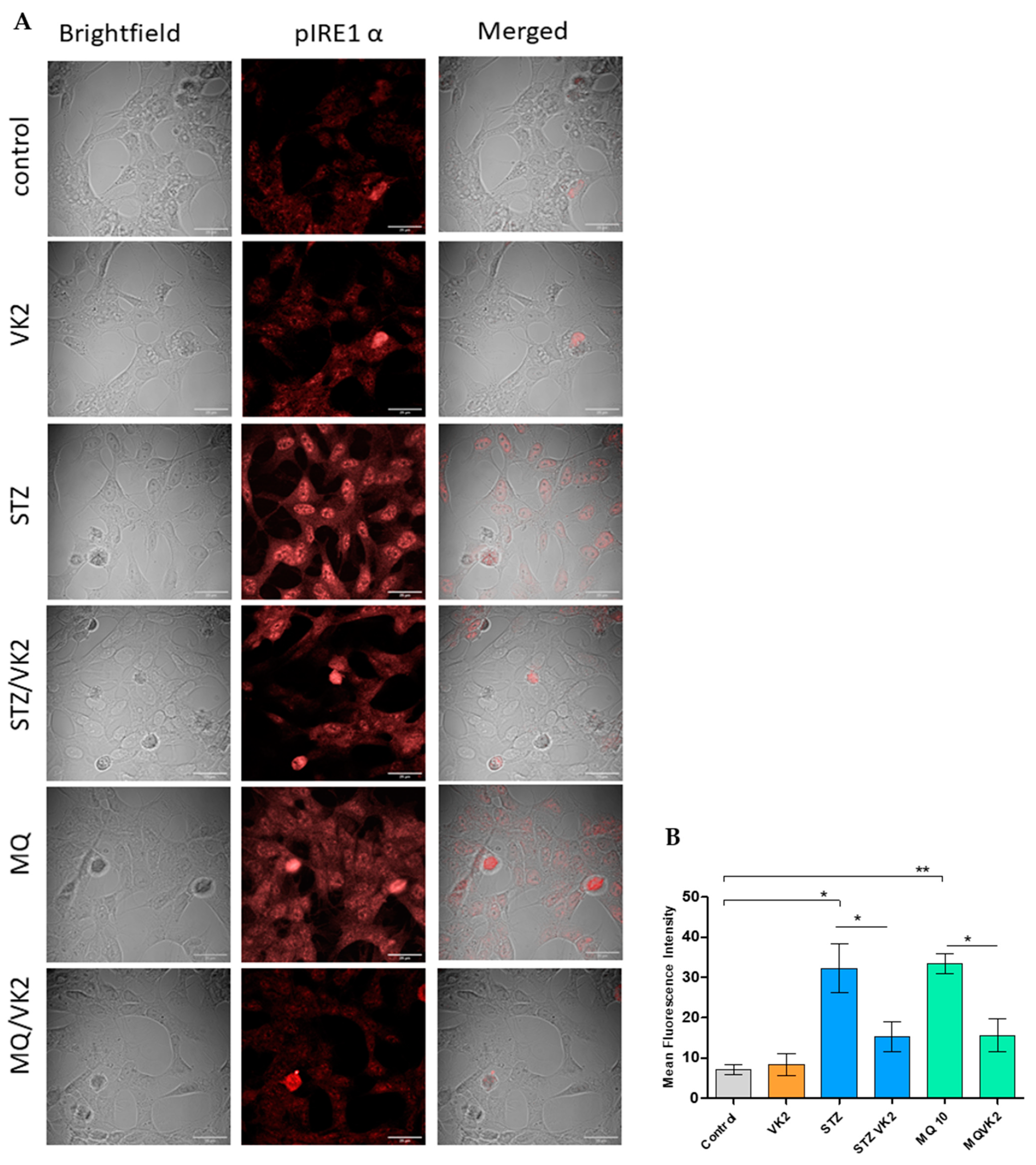 Antioxidants 10 00983 g006
