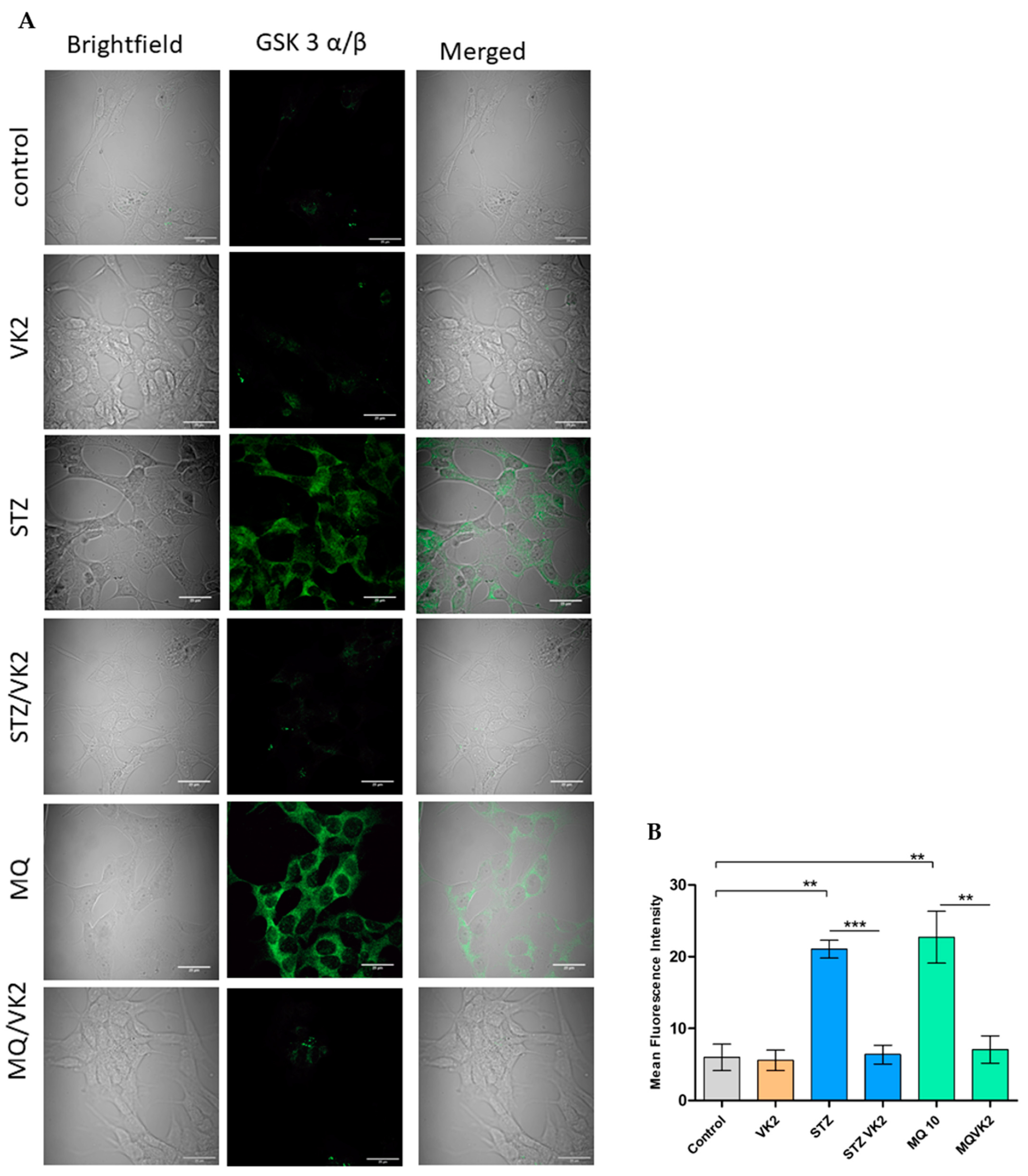 Antioxidants 10 00983 g007