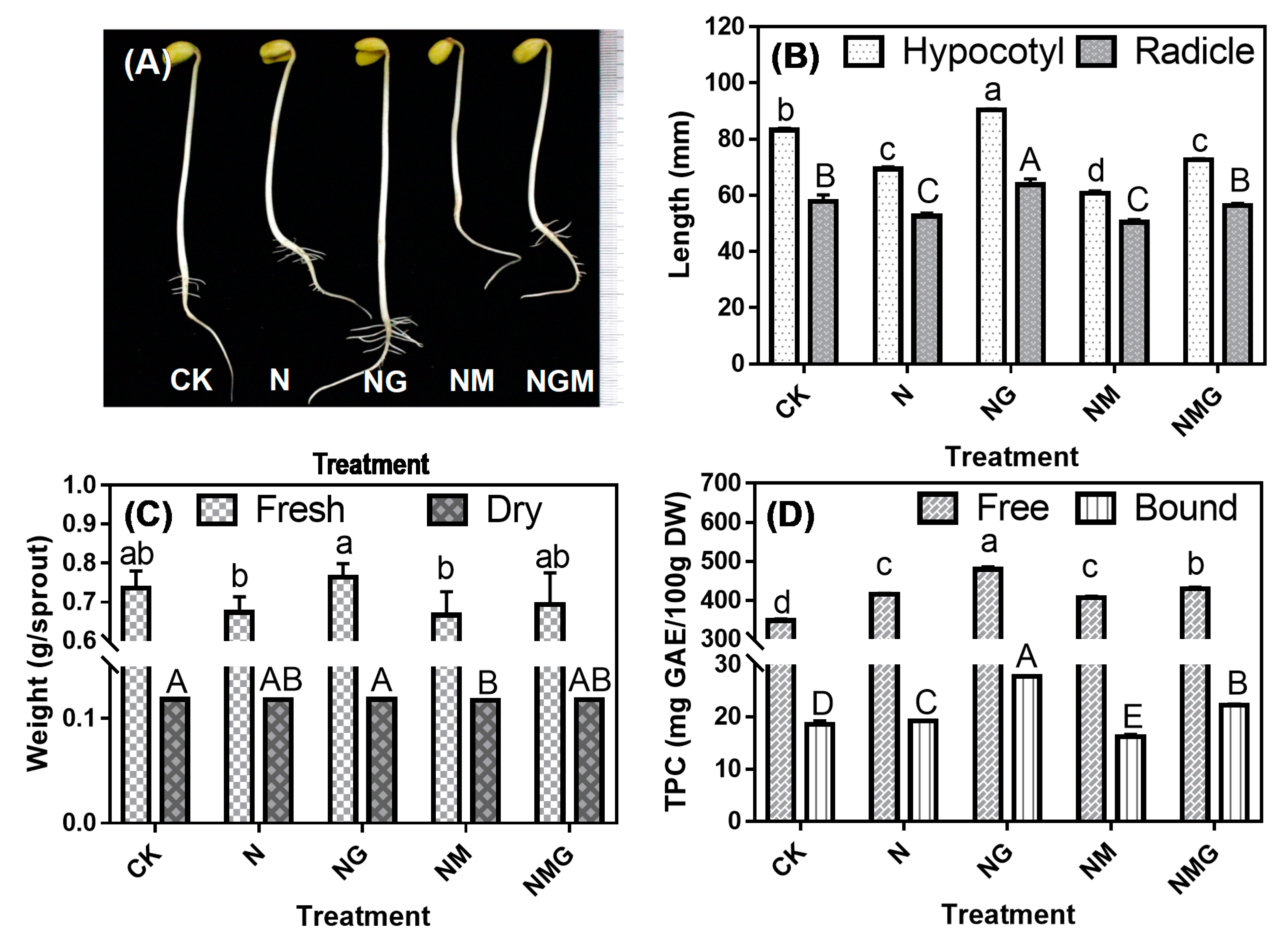 Antioxidants 10 00990 g001