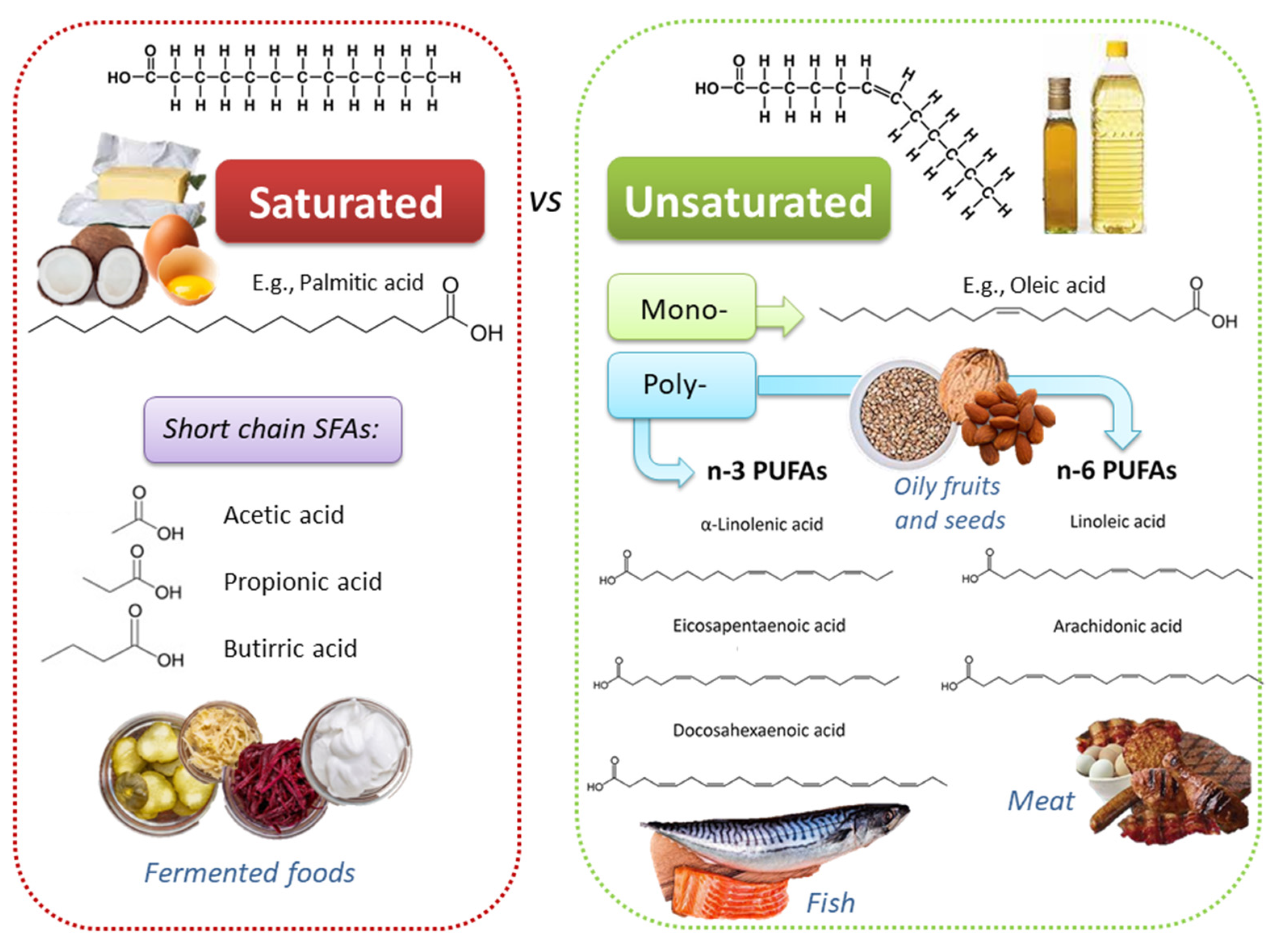 Antioxidants 10 00994 g001