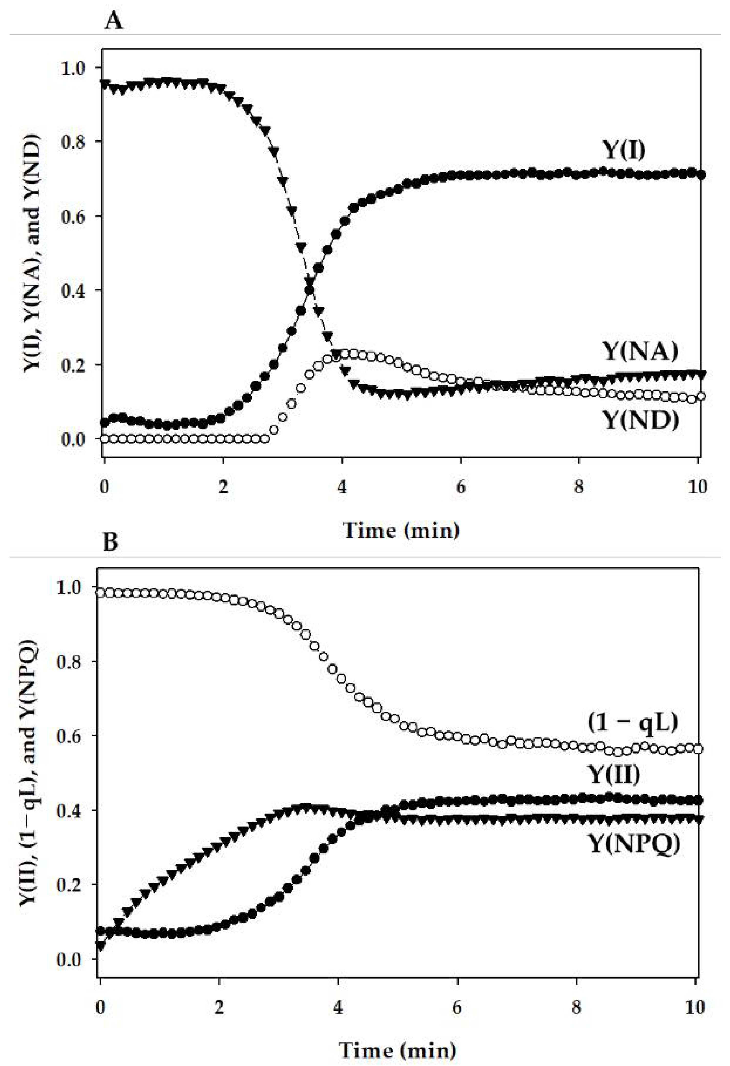 Antioxidants 10 00996 g001