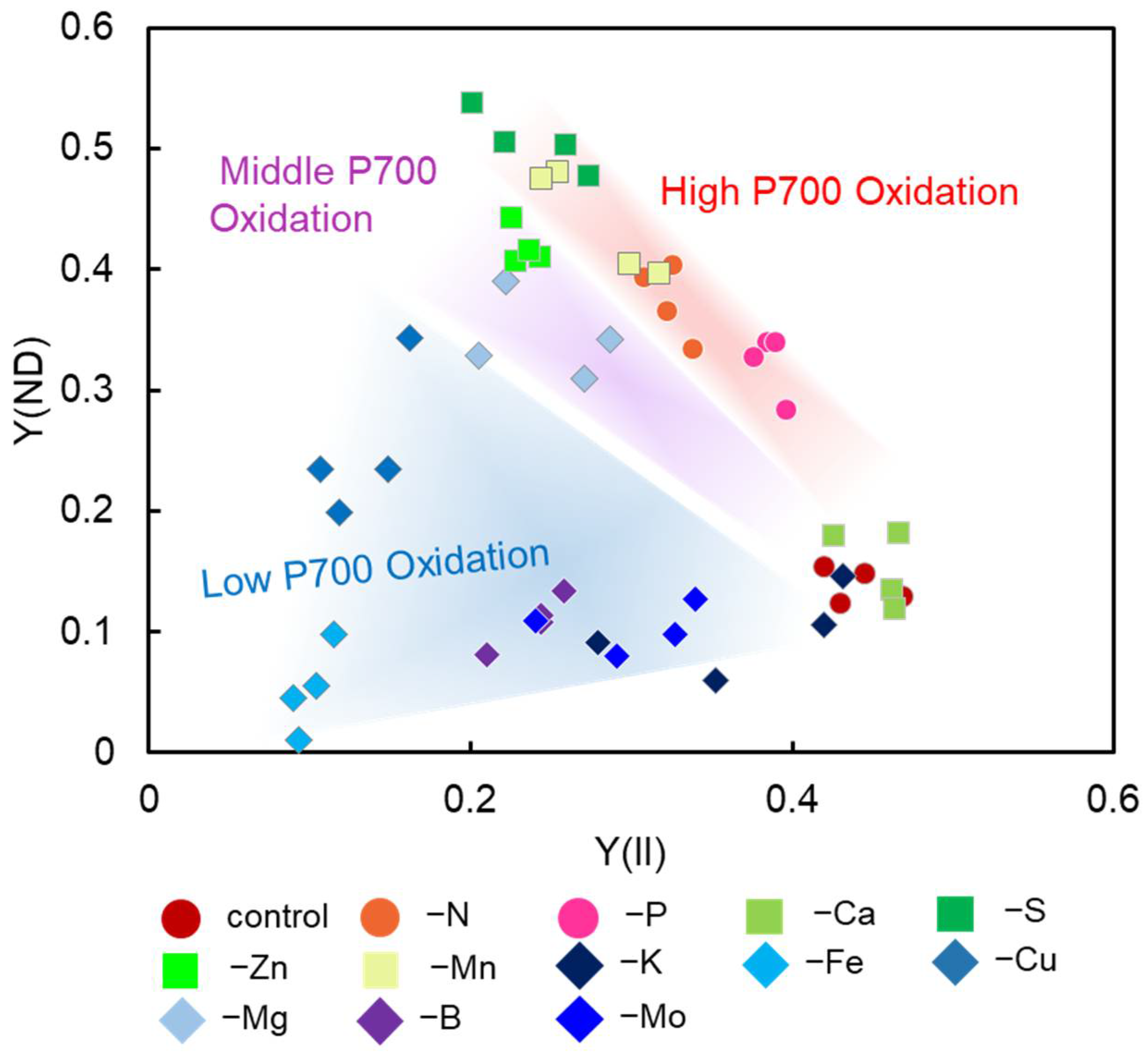 Antioxidants 10 00996 g002
