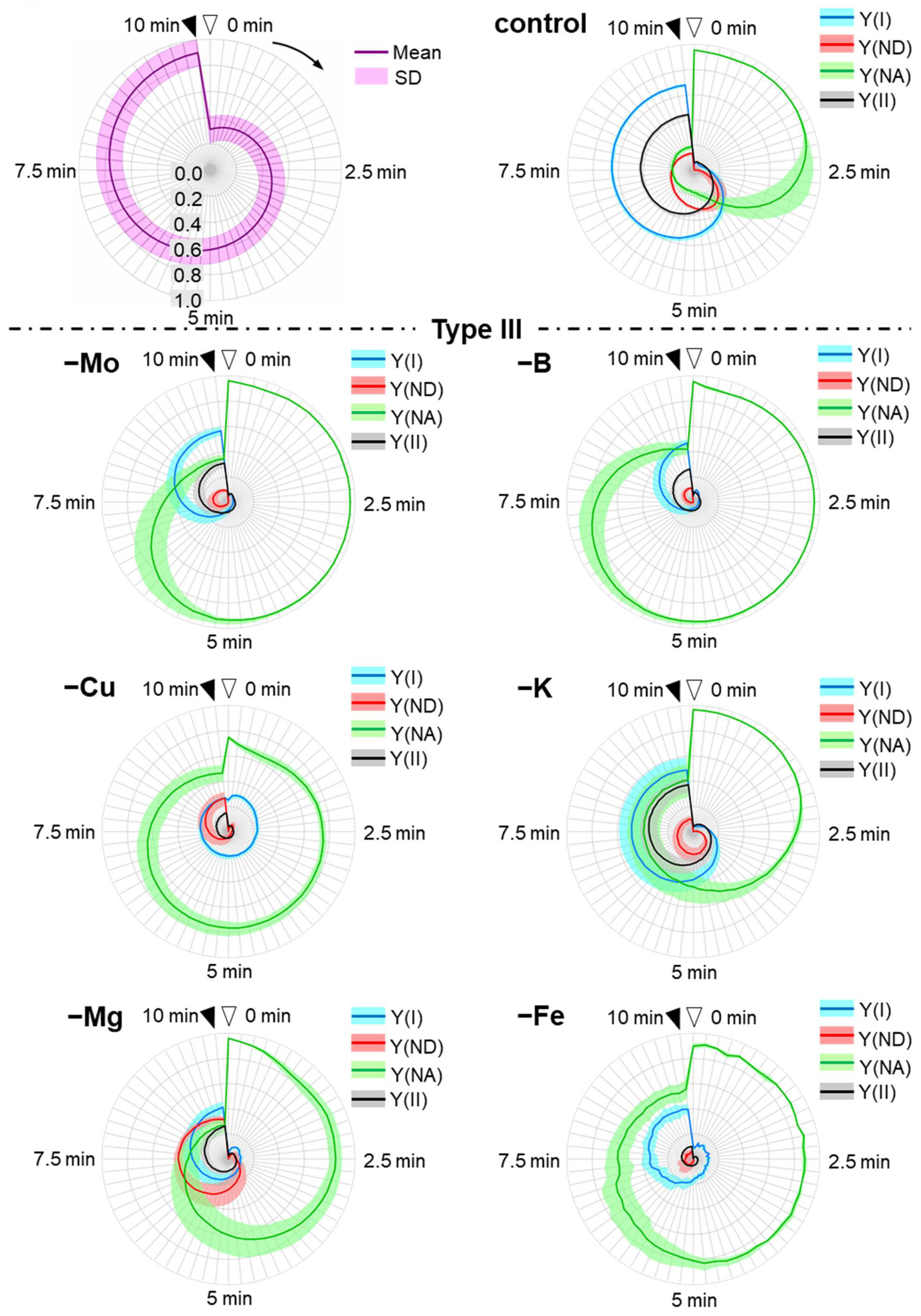 Antioxidants 10 00996 g003b
