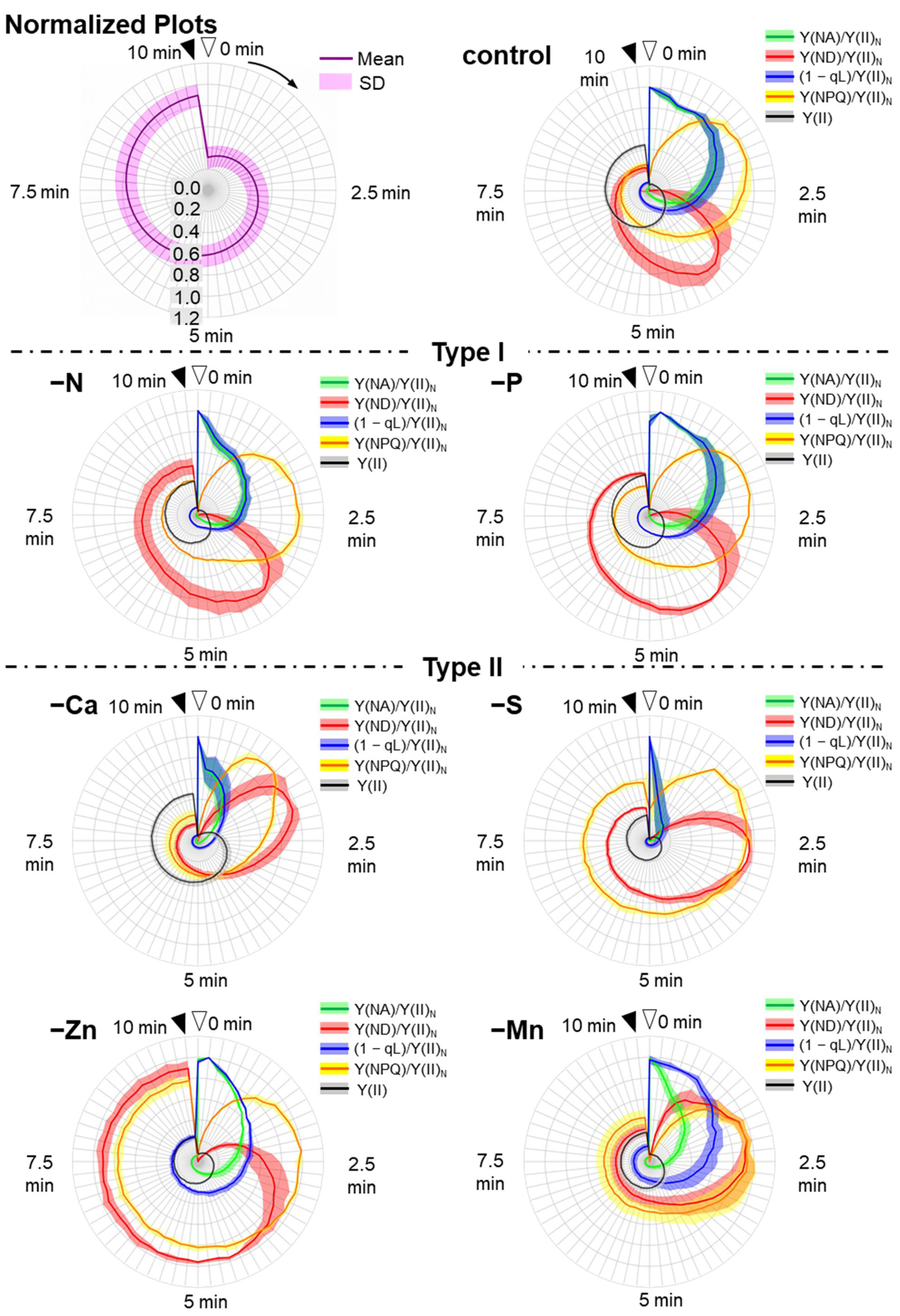 Antioxidants 10 00996 g005a