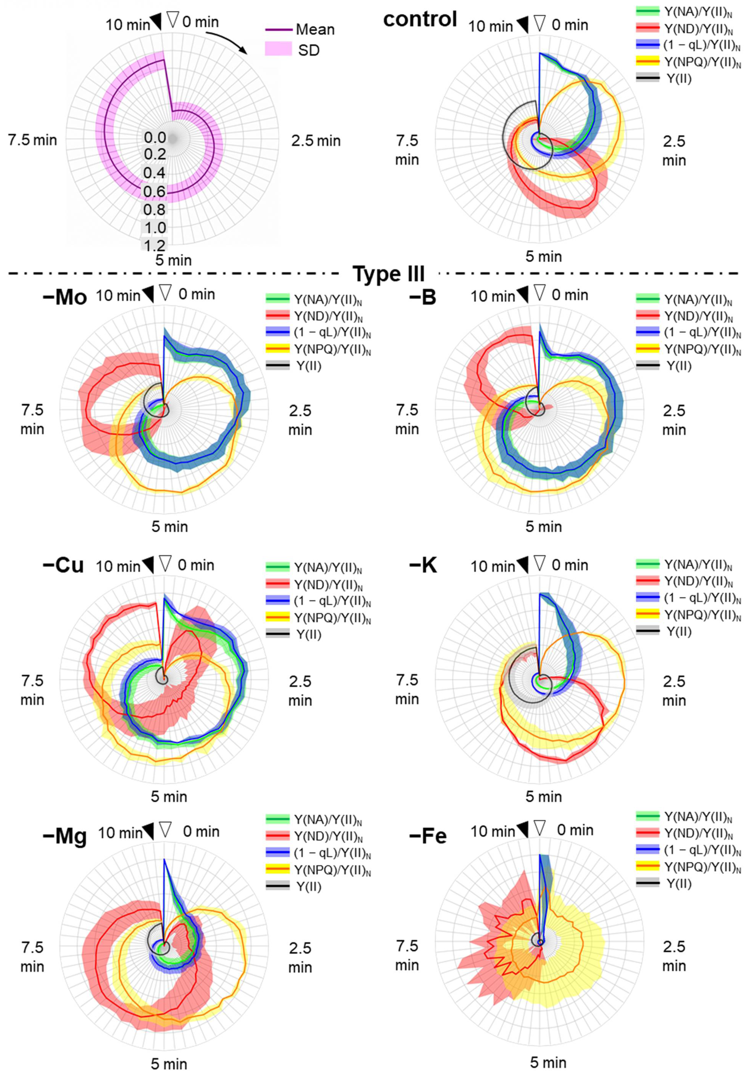 Antioxidants 10 00996 g005b