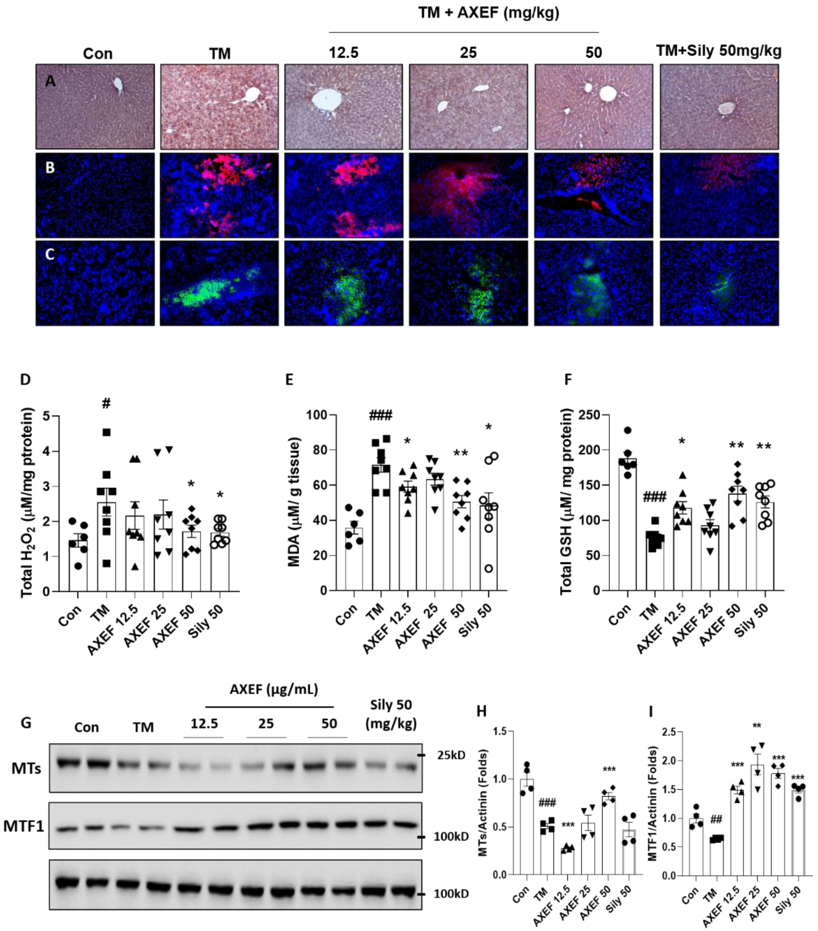 Antioxidants 10 00998 g003