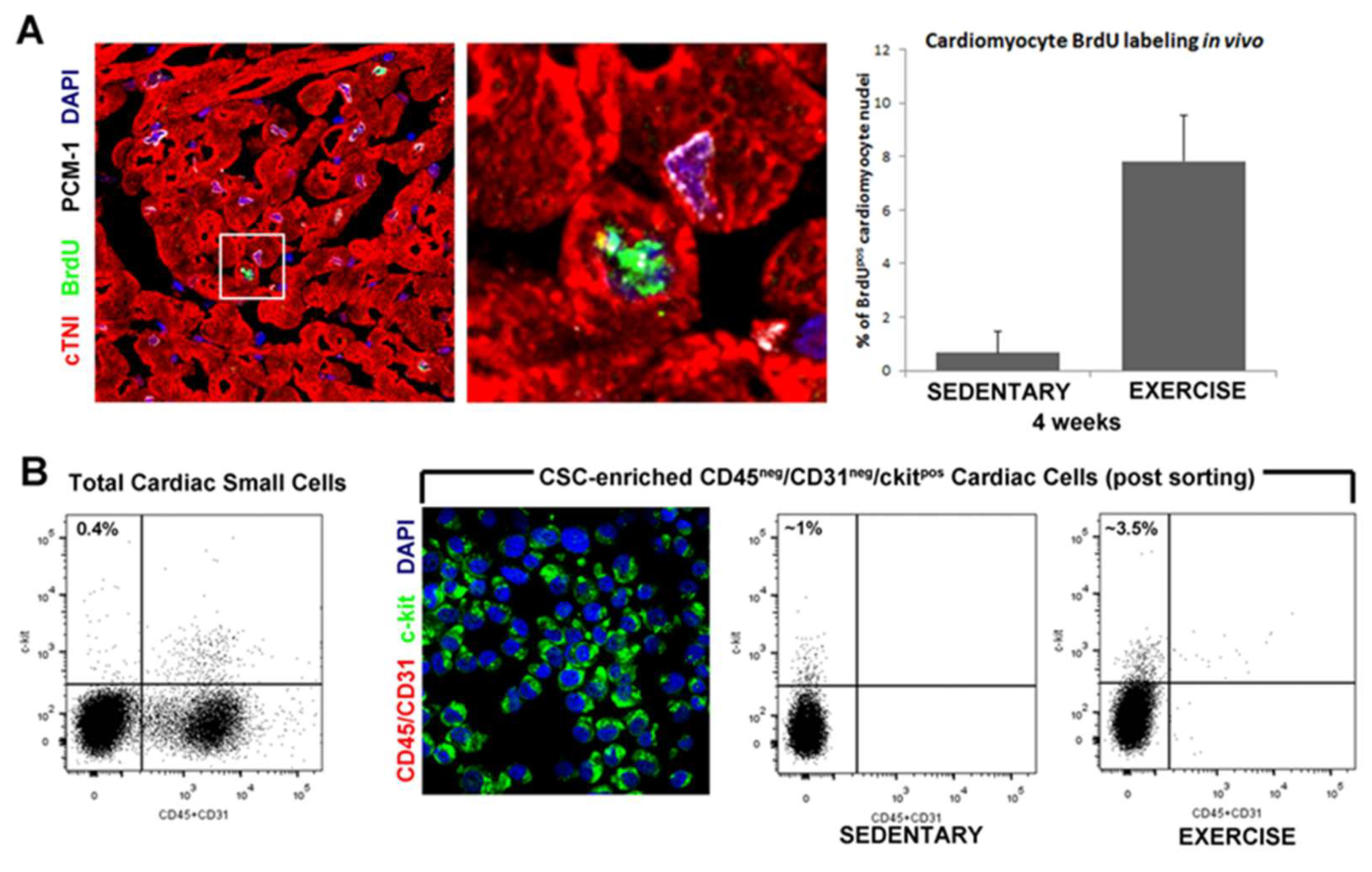 Antioxidants 10 01002 g001 Antioxidants 10 01002 g001