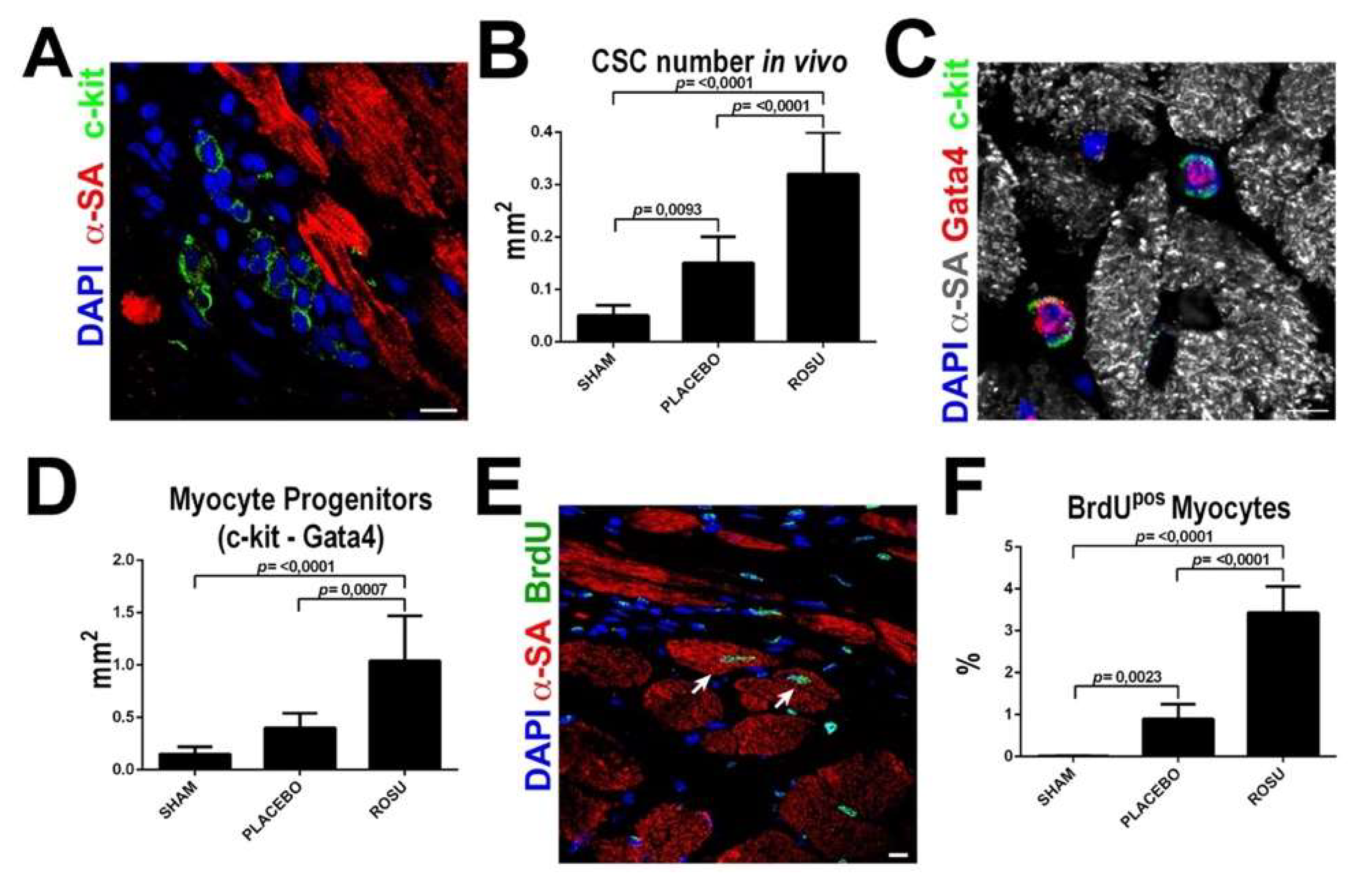 Antioxidants 10 01002 g003 Antioxidants 10 01002 g003