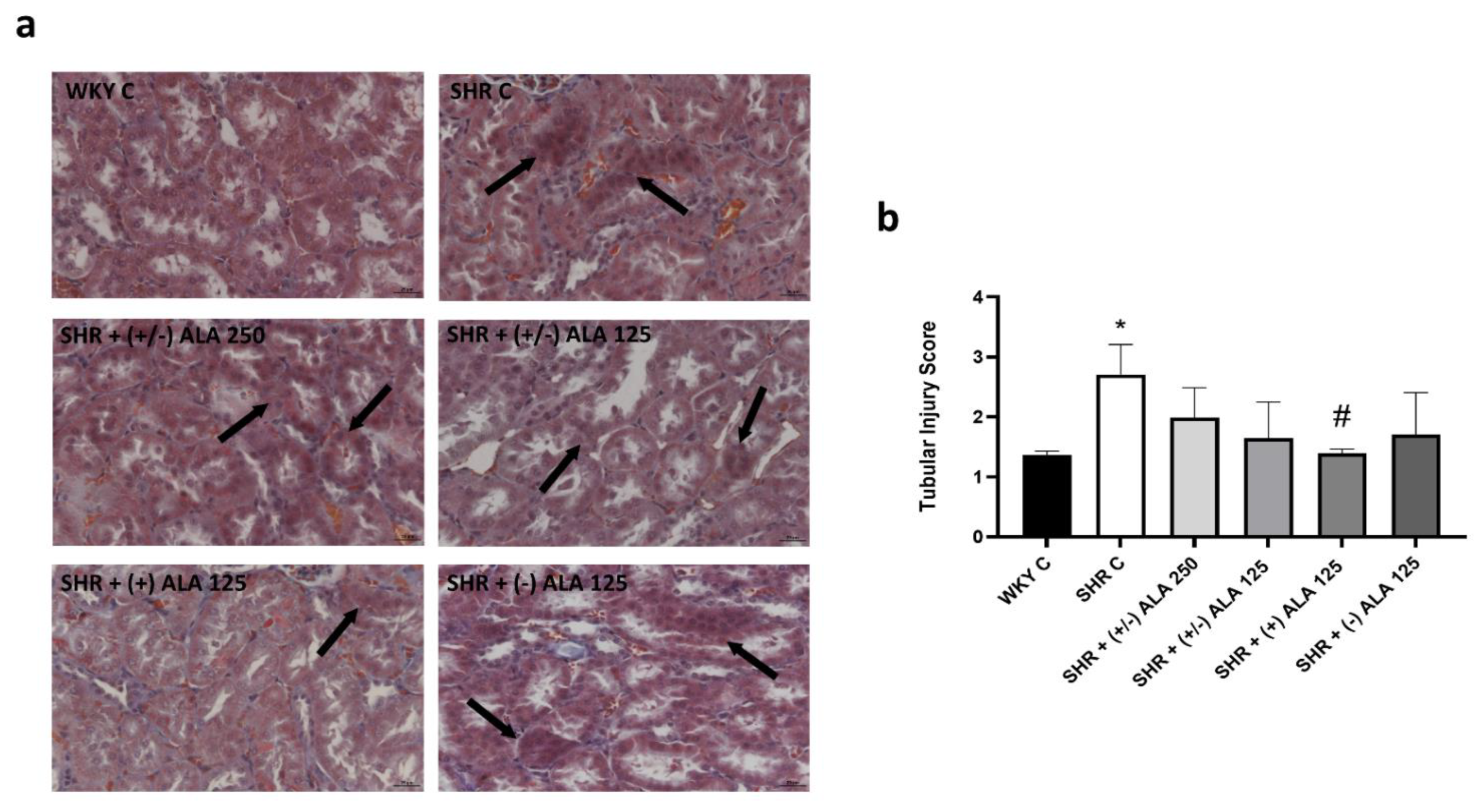 Antioxidants 10 01006 g005
