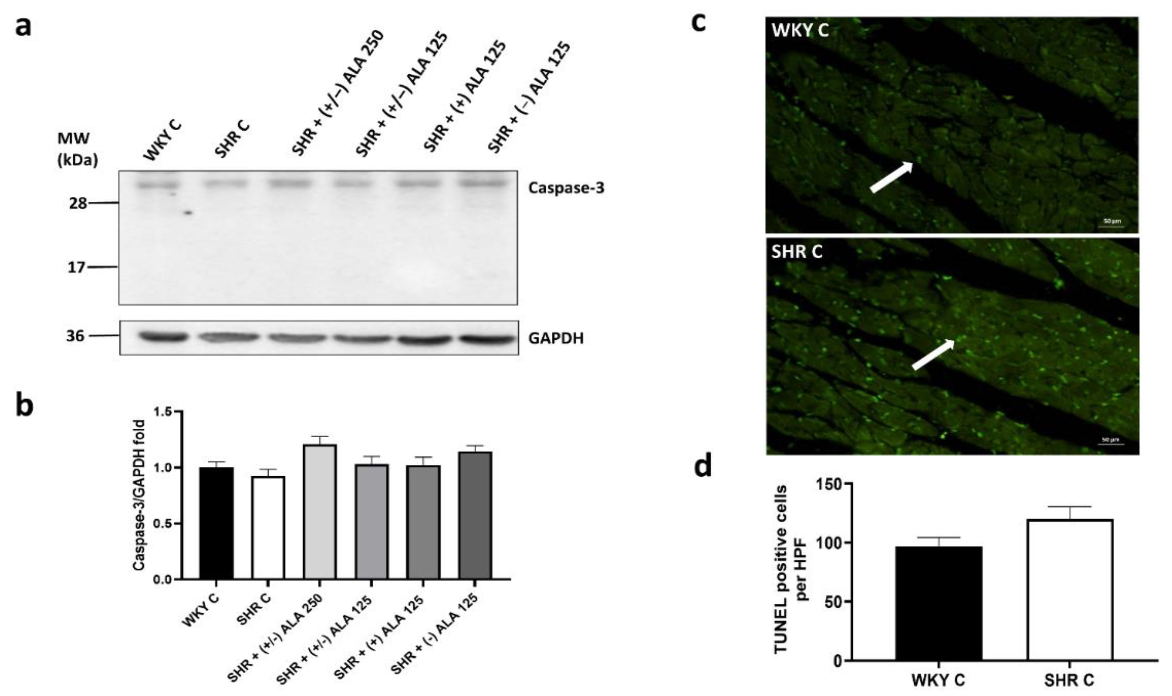 Antioxidants 10 01006 g007