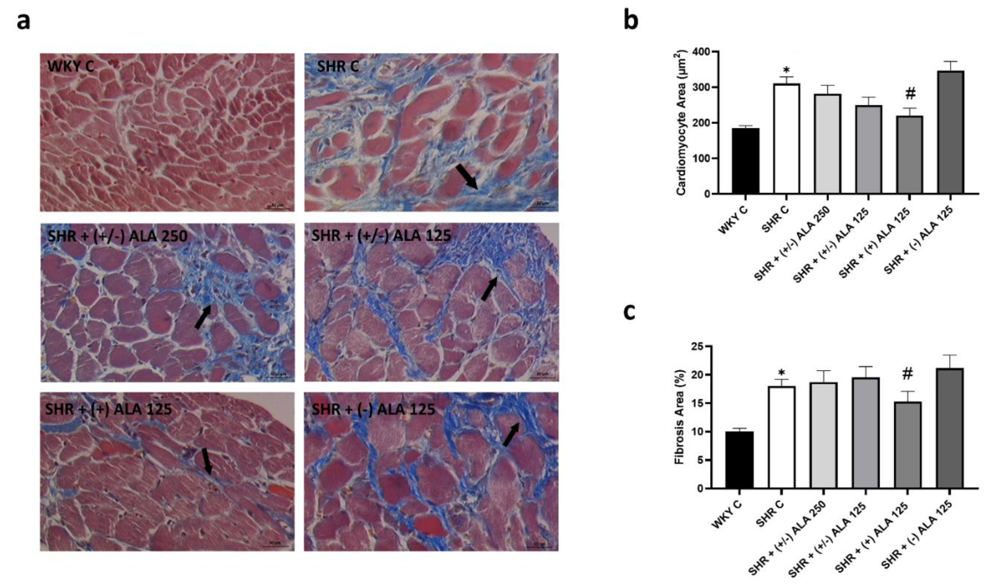 Antioxidants 10 01006 g008